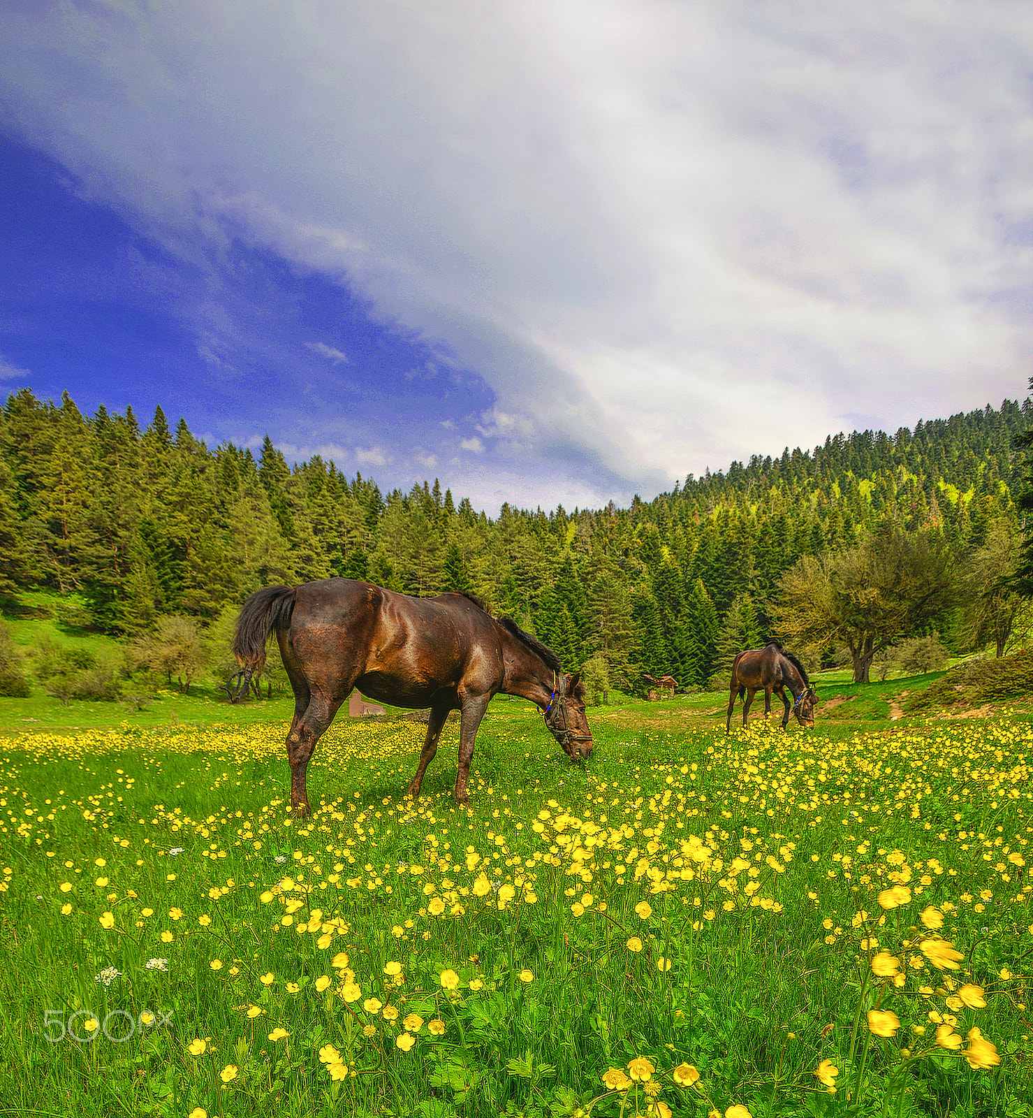 Nikon AF-S Nikkor 17-35mm F2.8D ED-IF sample photo. Tranquility photography