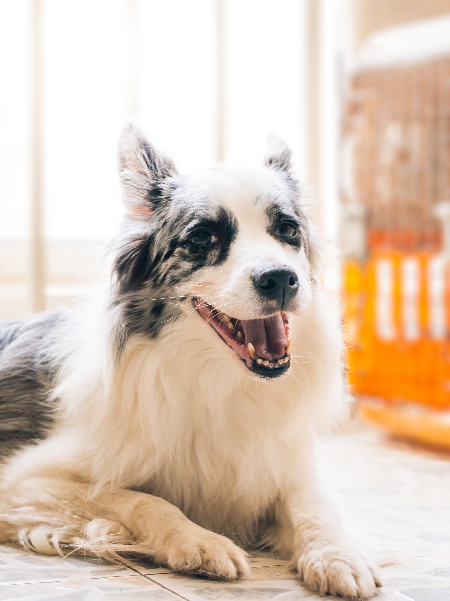 Sigma 50mm F1.4 EX DG HSM sample photo. Marry photography