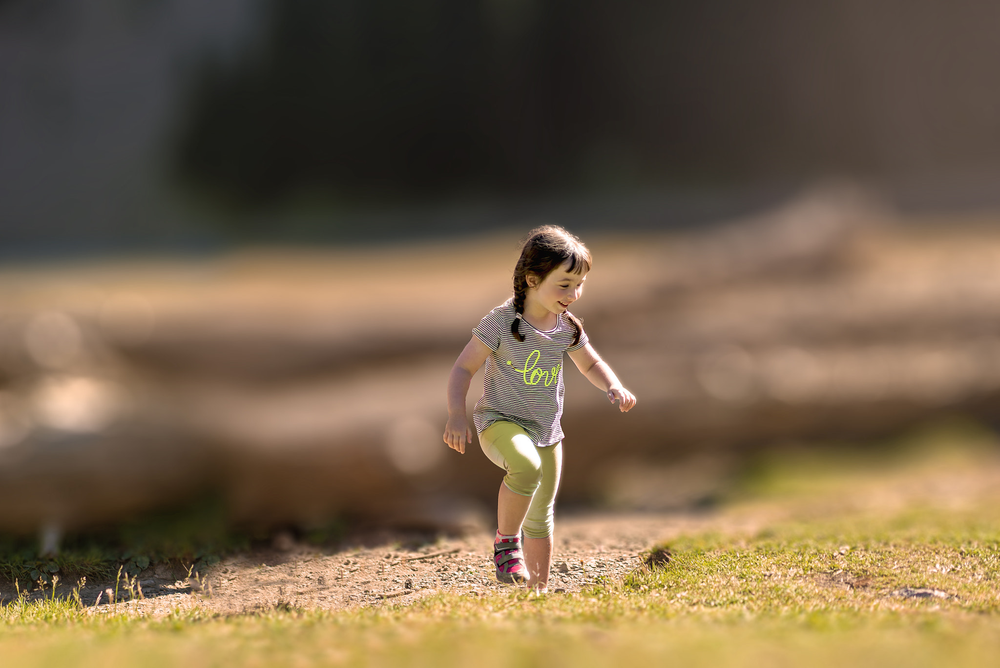 Sony a7S II + Sony Sonnar T* FE 55mm F1.8 ZA sample photo. Joy in the lake photography