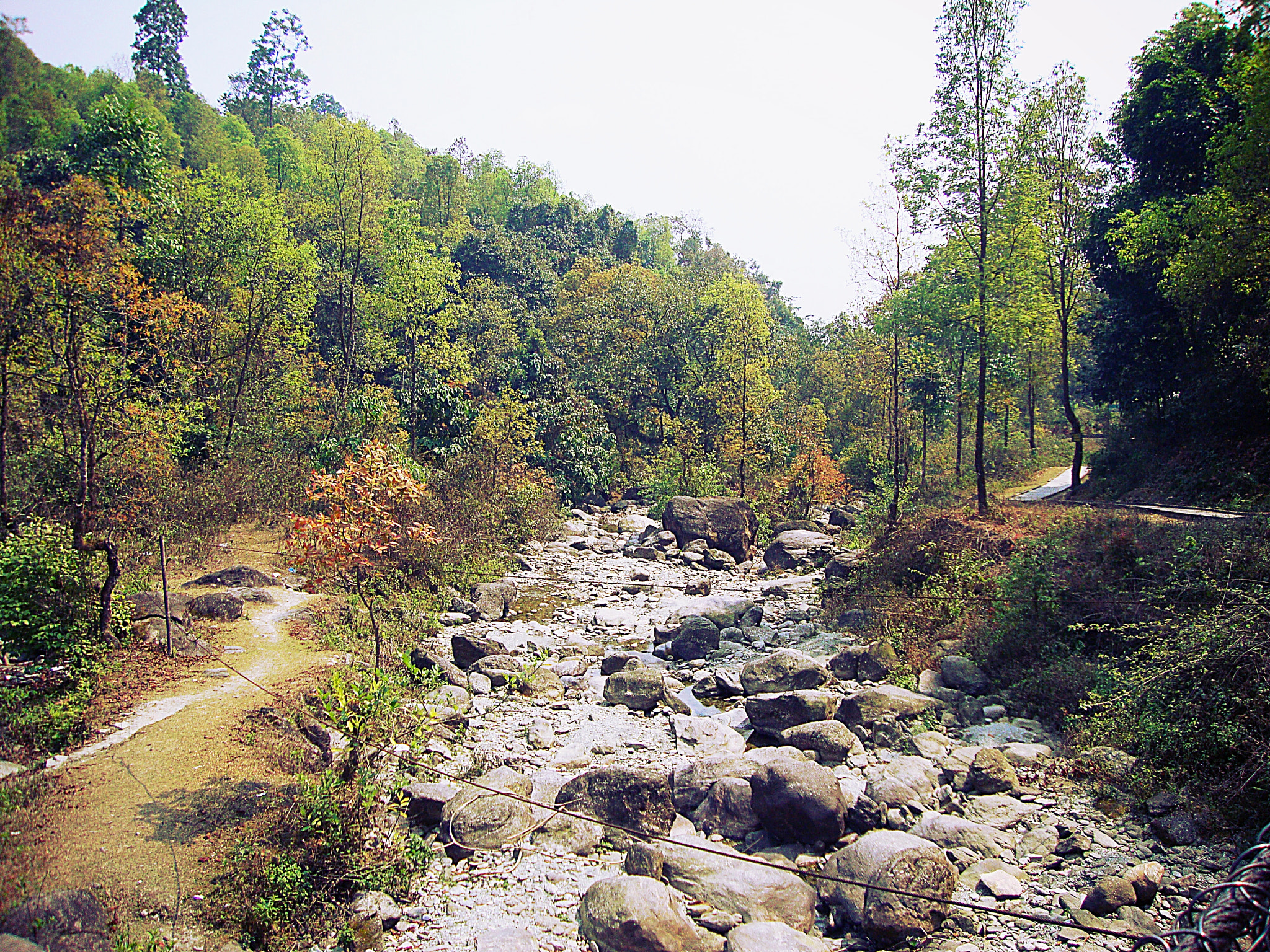 Sony DSC-W210 sample photo. Dry stream photography