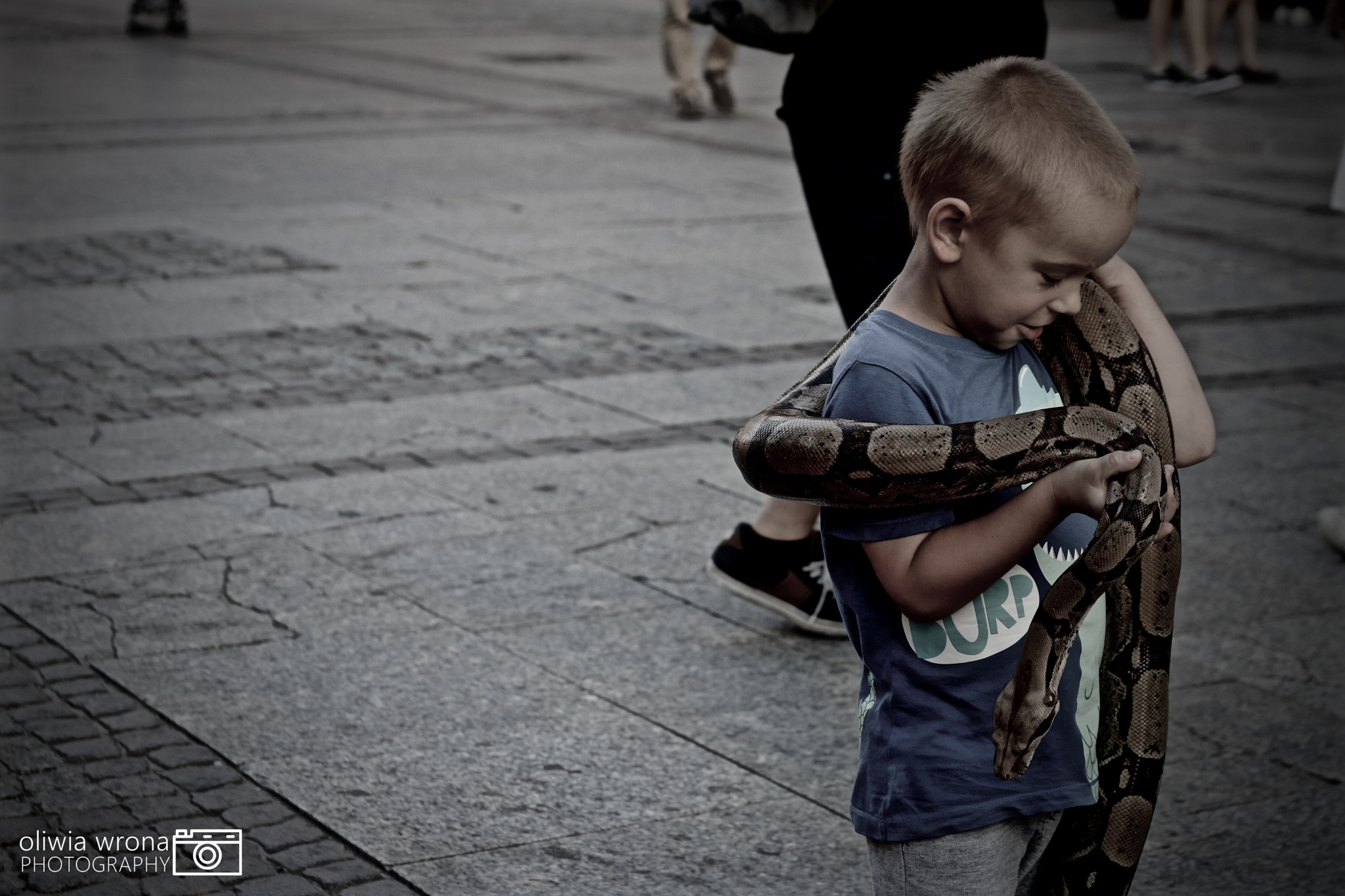 Canon EOS 760D (EOS Rebel T6s / EOS 8000D) + Canon EF 50mm F1.8 II sample photo. Small snake charmers photography