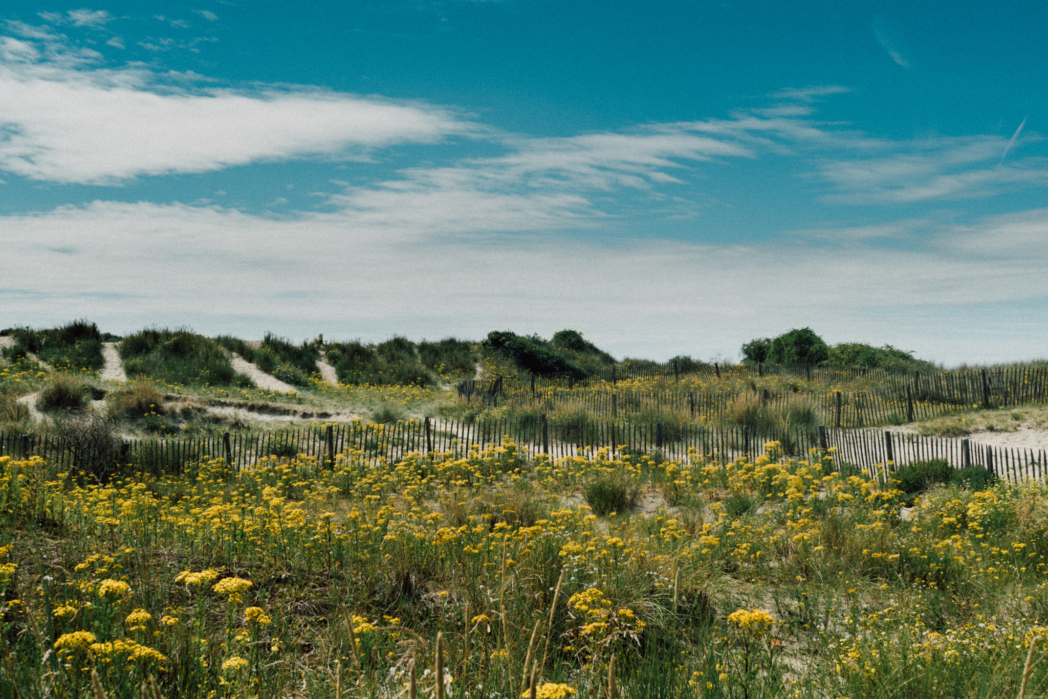 Sony FE 28mm F2 sample photo. Dunes photography