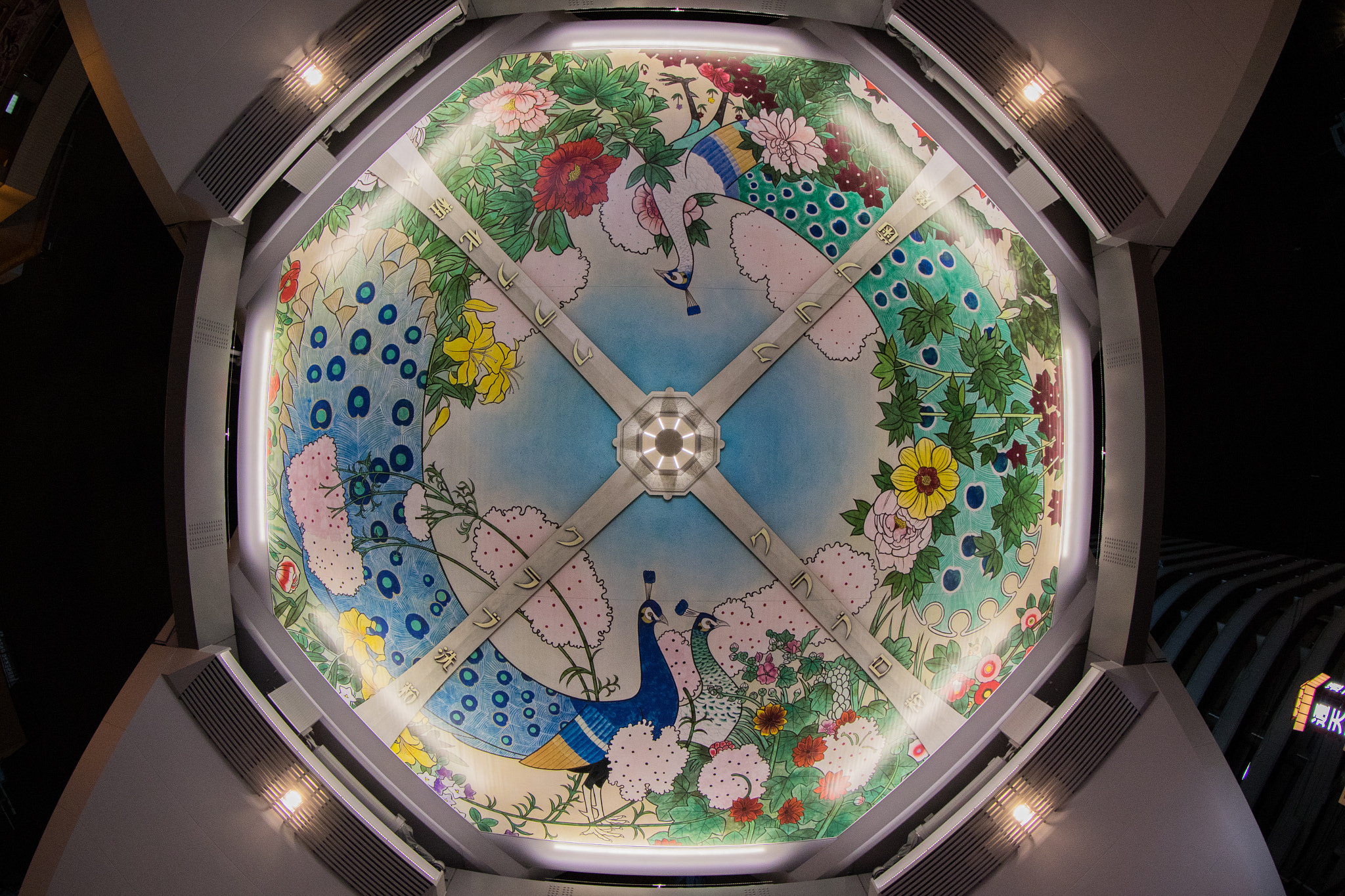 Canon EF 8-15mm F4L Fisheye USM sample photo