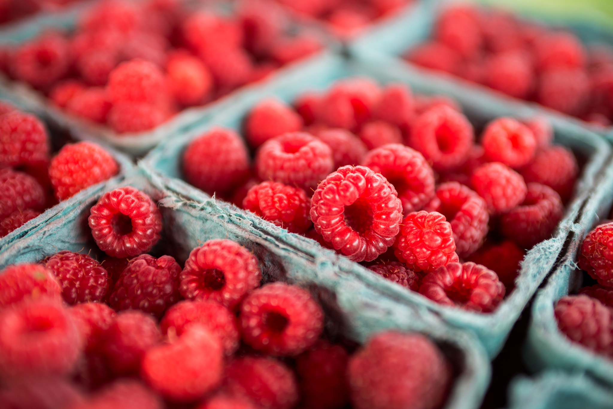 Nikon D800 + AF Zoom-Nikkor 35-70mm f/2.8D sample photo. Vt raspberries photography