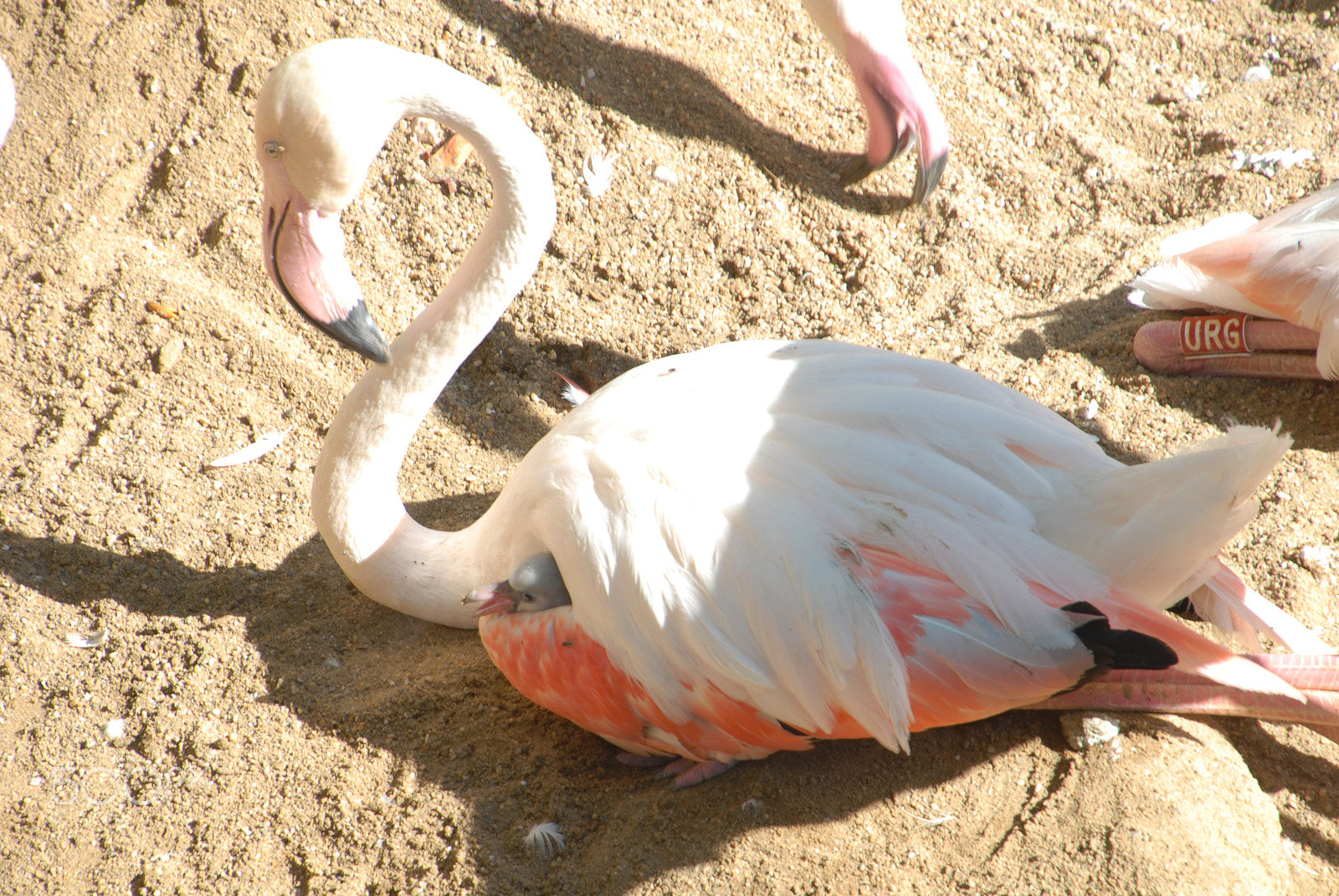 Nikon D200 sample photo. [] photography