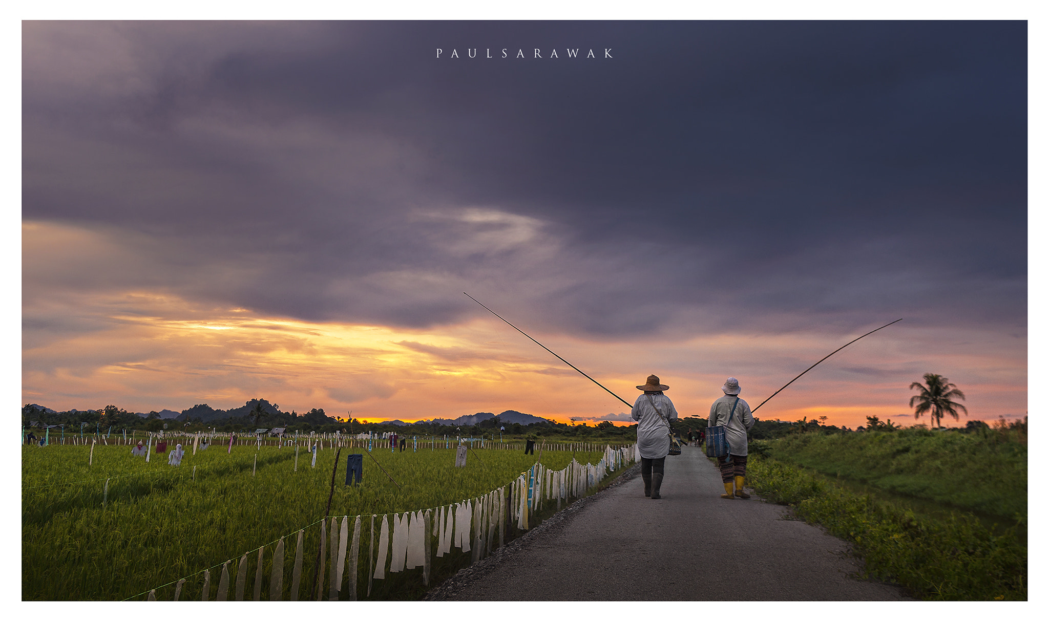 Nikon AF-S Nikkor 24-70mm F2.8E ED VR sample photo. Going home photography