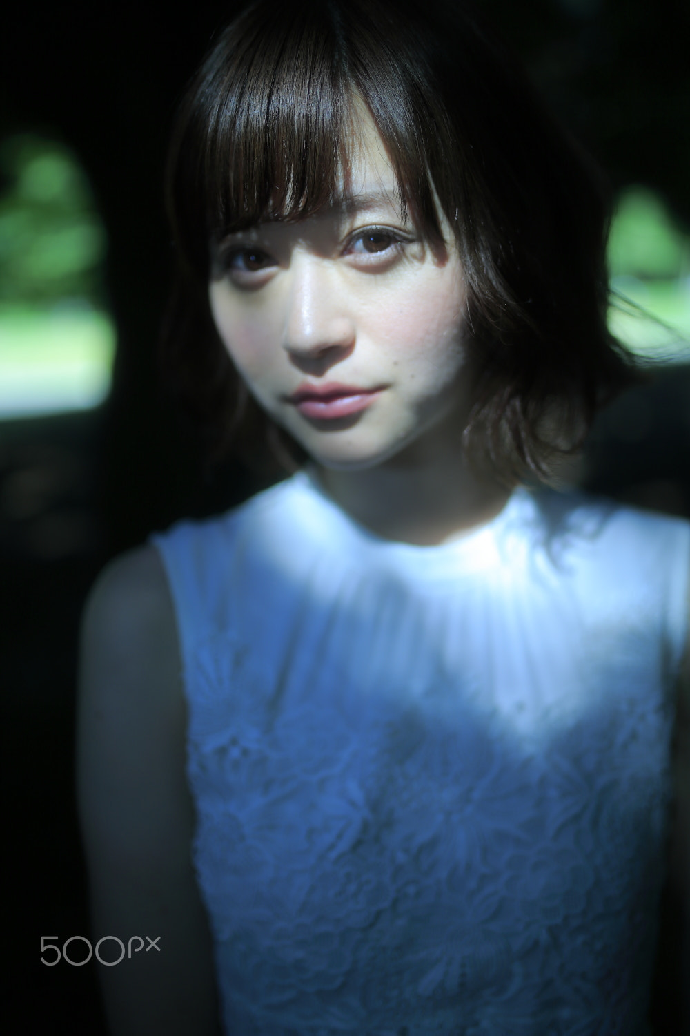 Sigma 35mm F1.4 DG HSM Art sample photo. Sunlight through the trees photography