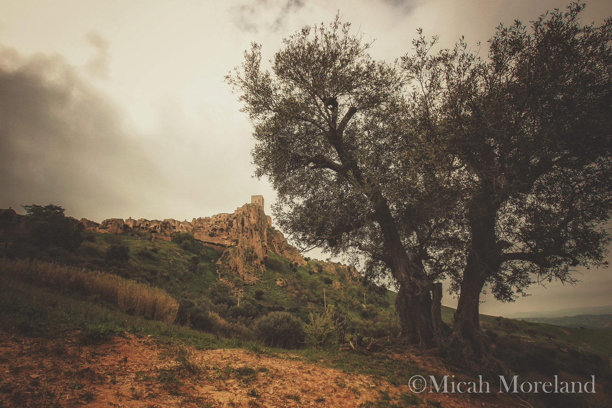 Canon EOS 100D (EOS Rebel SL1 / EOS Kiss X7) sample photo. Craco photography