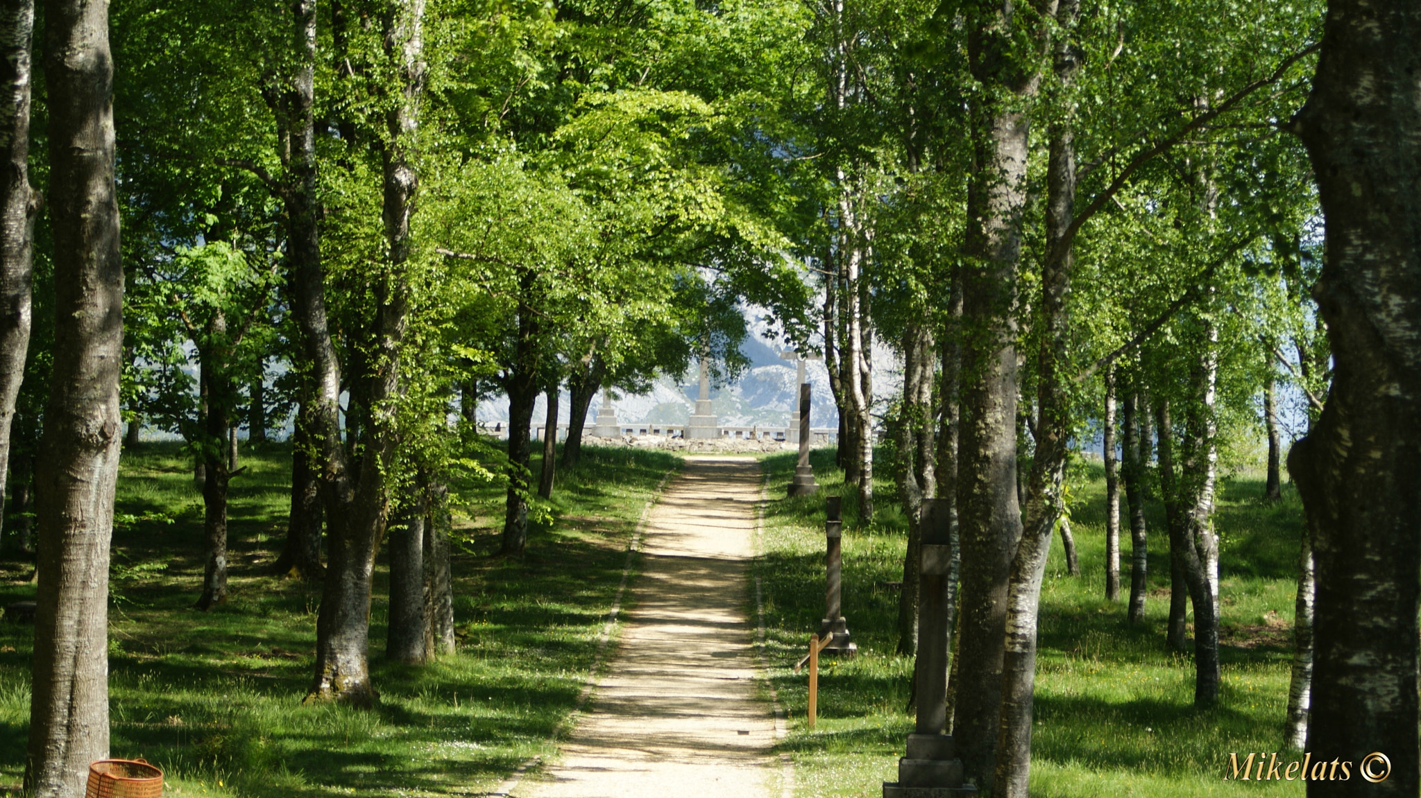 Minolta AF 28-80mm F3.5-5.6 II sample photo. Urkiolako parke naturala photography