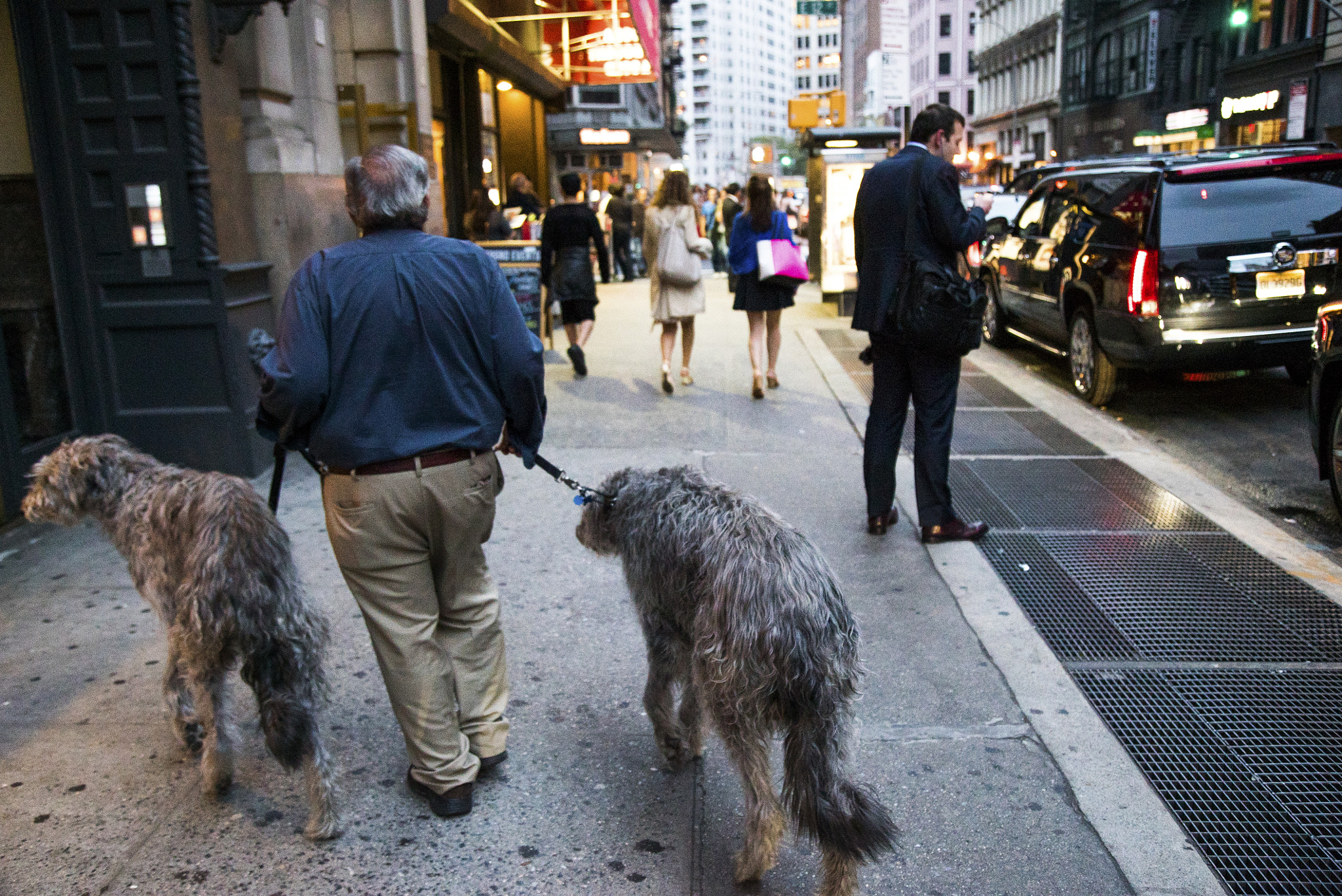 Sony a7S + Canon EF 24-105mm F4L IS USM sample photo. New york wolfhounds, 2014 photography