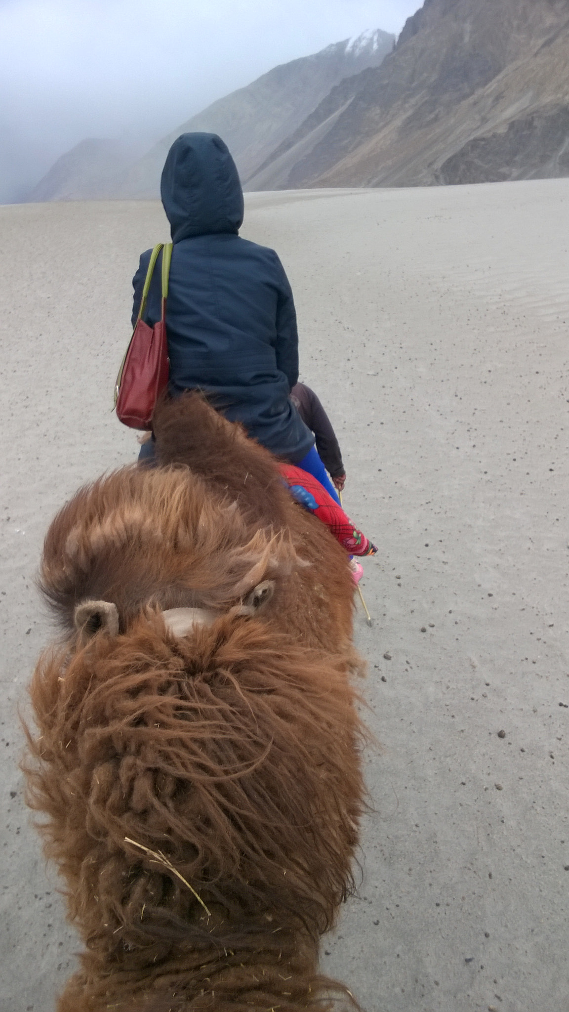 Nokia Lumia 730 Dual SIM sample photo. Wp_20150430_233.jpg photography