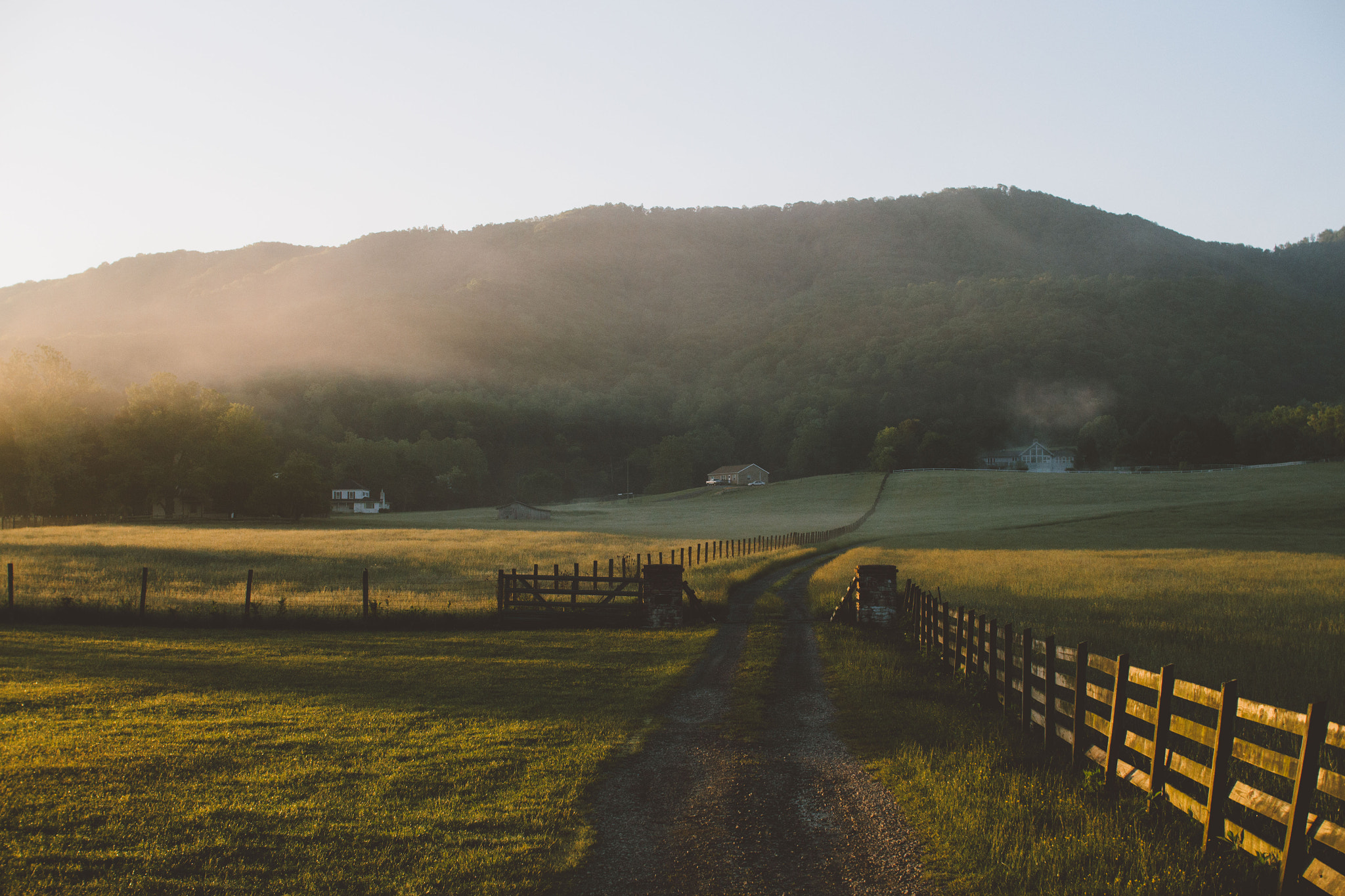 Sigma 30mm F1.4 EX DC HSM sample photo. Early morning walks photography