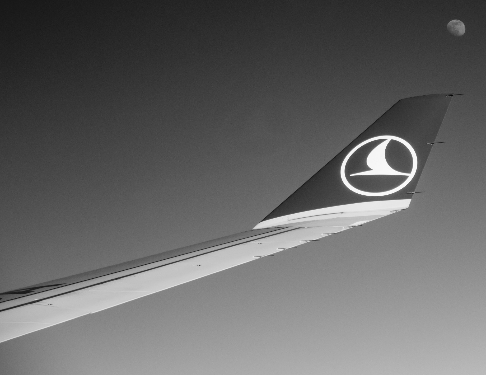 Panasonic Lumix DMC-GH2 sample photo. Moon and wing photography
