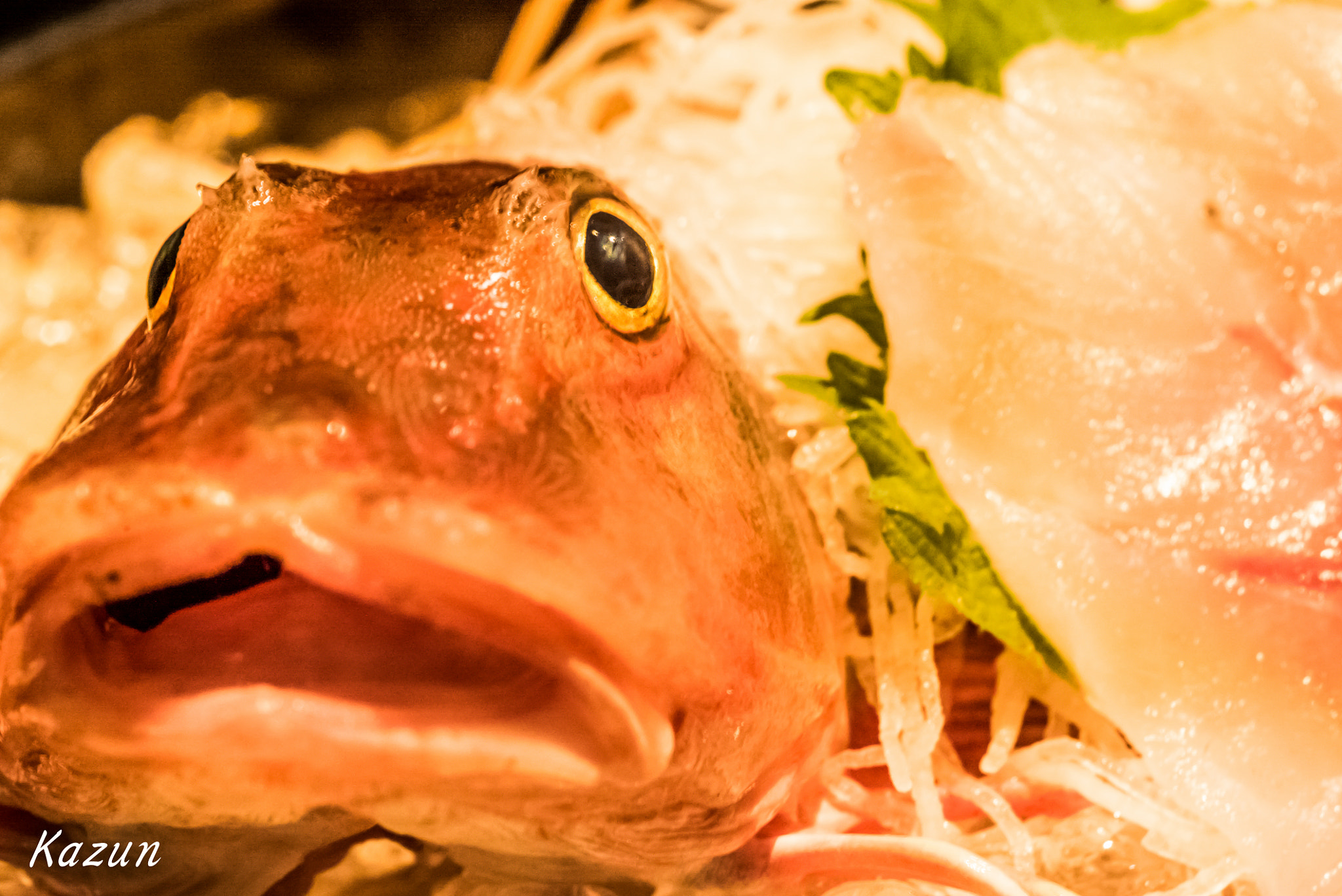 Sony a7S II + Sony FE 90mm F2.8 Macro G OSS sample photo. Hello! photography