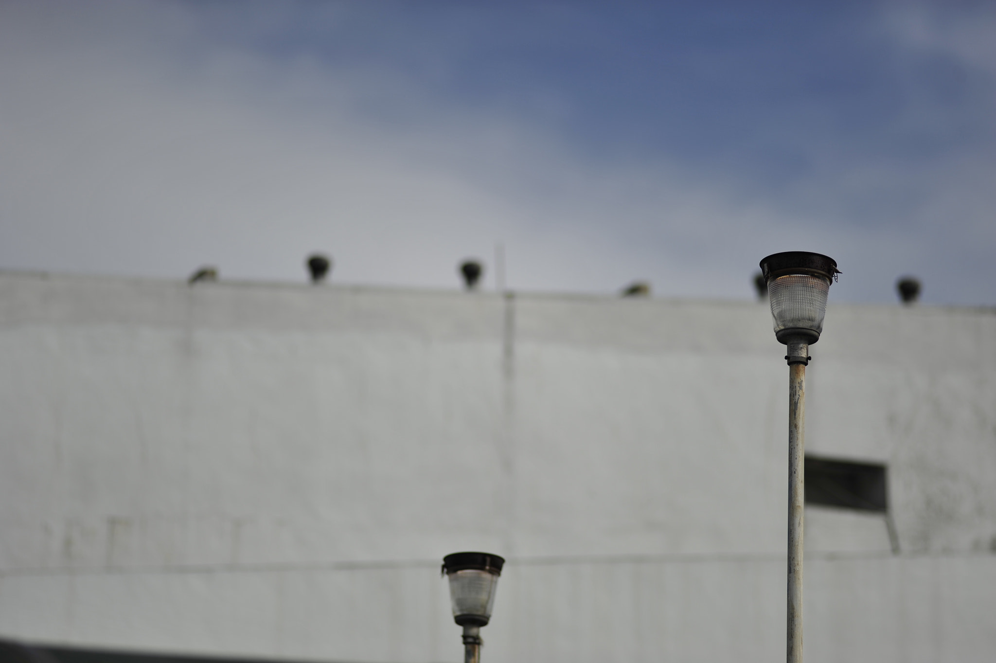 Nikon D3 + Nikon AF Nikkor 180mm F2.8D ED-IF sample photo. .. photography