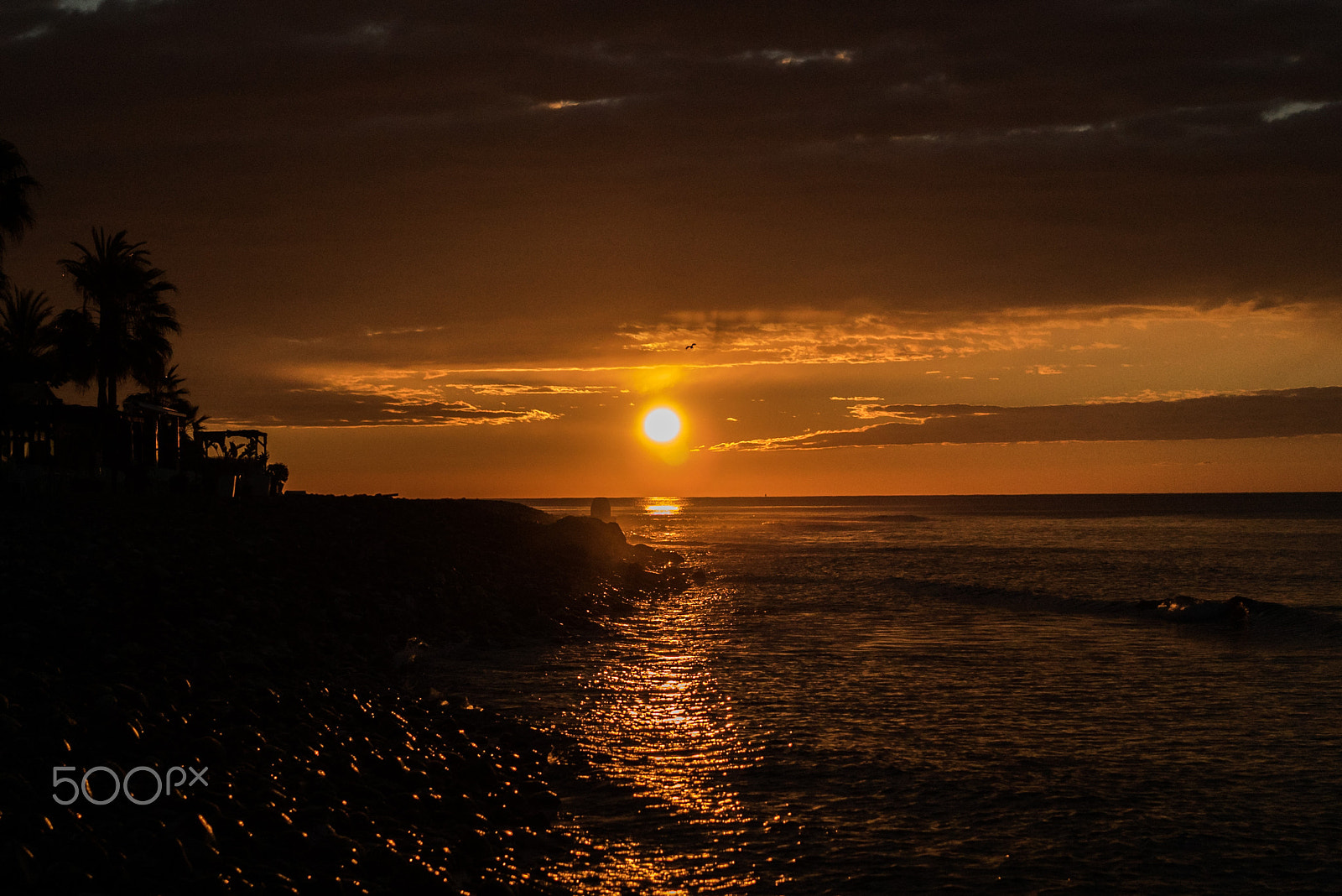 Sony a7S II + Sony Sonnar T* FE 55mm F1.8 ZA sample photo. Sunrise photography