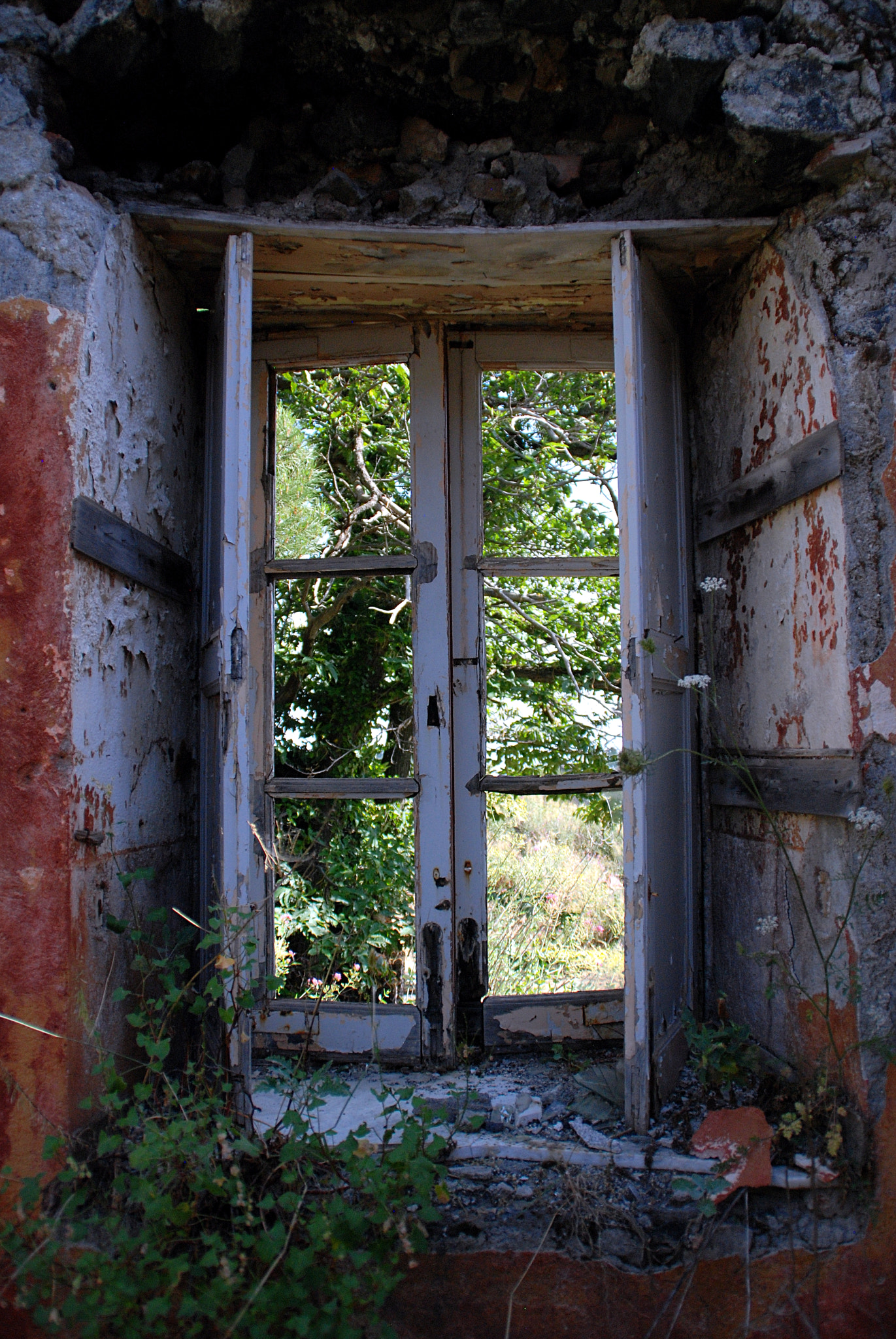 Nikon D80 sample photo. From the window collection v5 photography