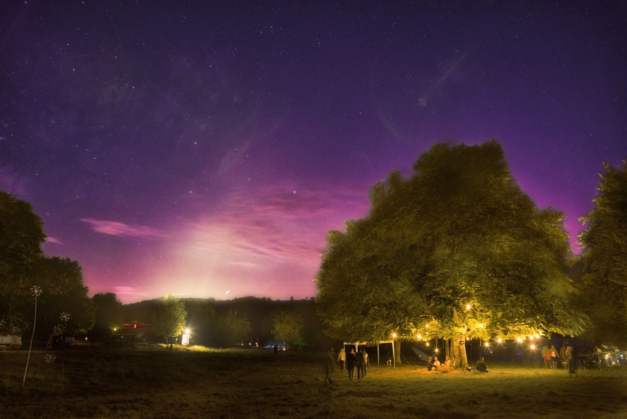 Nikon D600 + Samyang 12mm F2.8 ED AS NCS Fisheye sample photo. Fairy tree photography