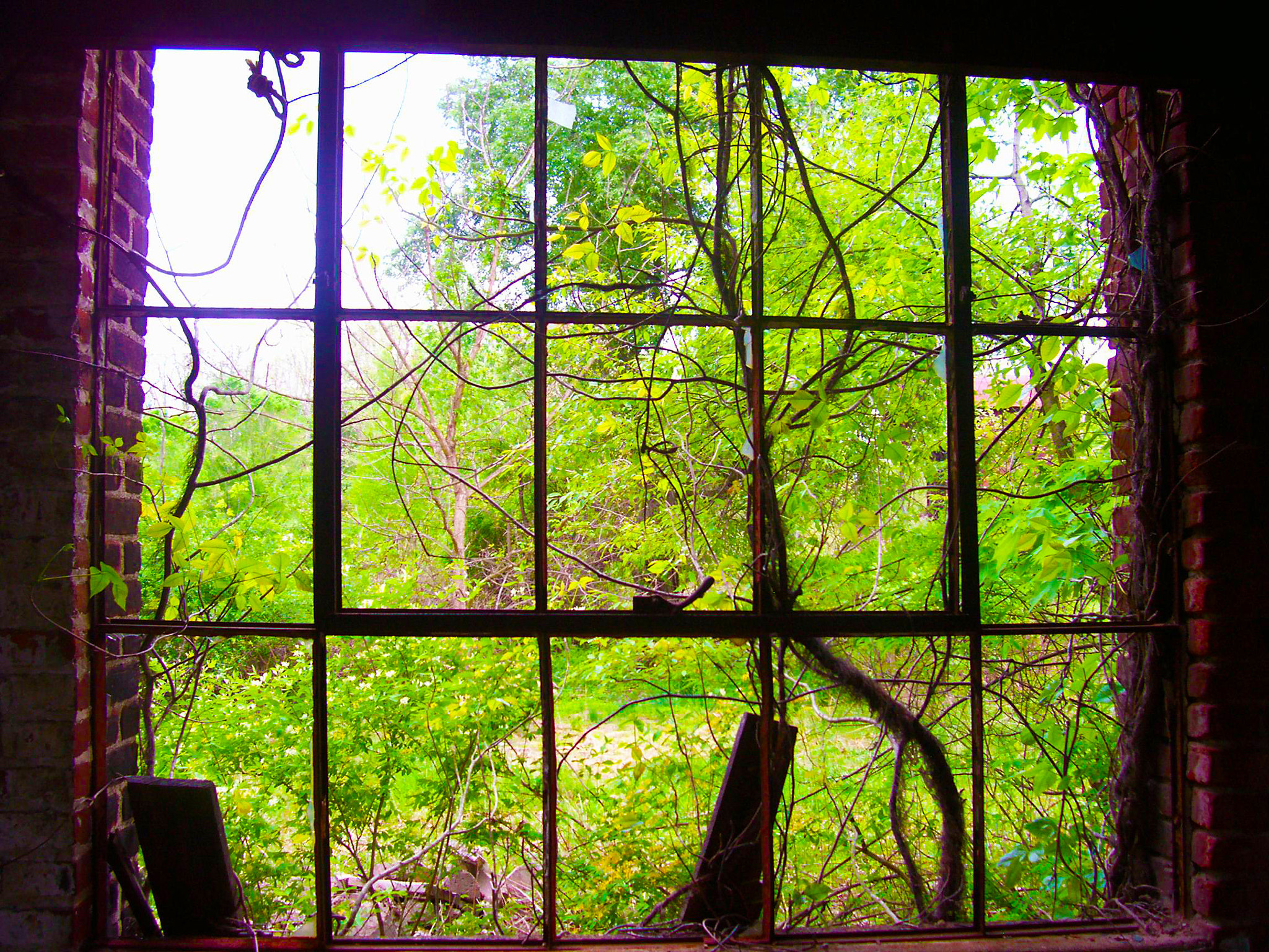 Kodak C330 ZOOM DIGITAL CAMERA sample photo. Rusted window frame photography