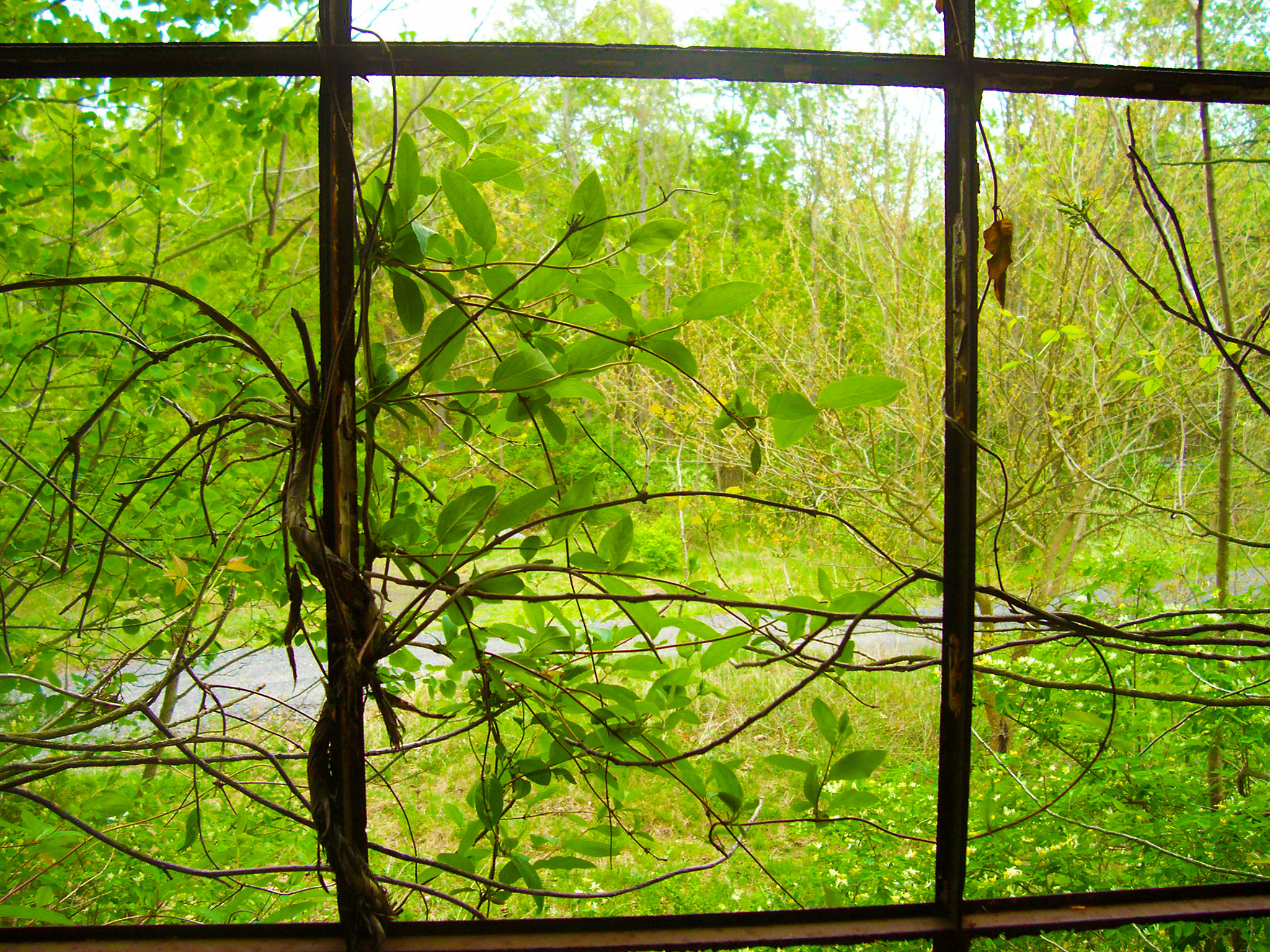 Kodak C330 ZOOM DIGITAL CAMERA sample photo. Rusted window frame 2 photography
