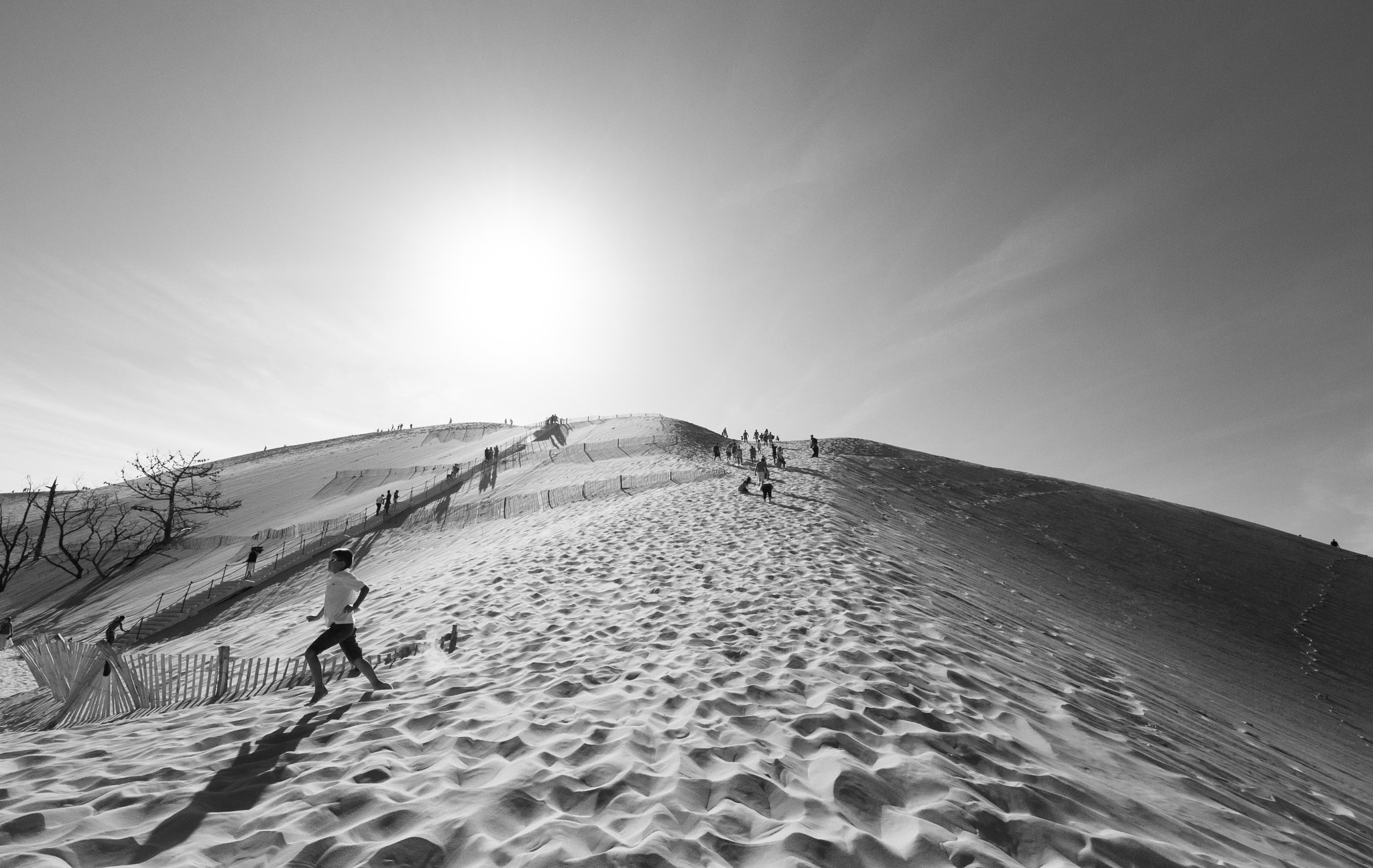 Nikon D5000 sample photo. Dune photography