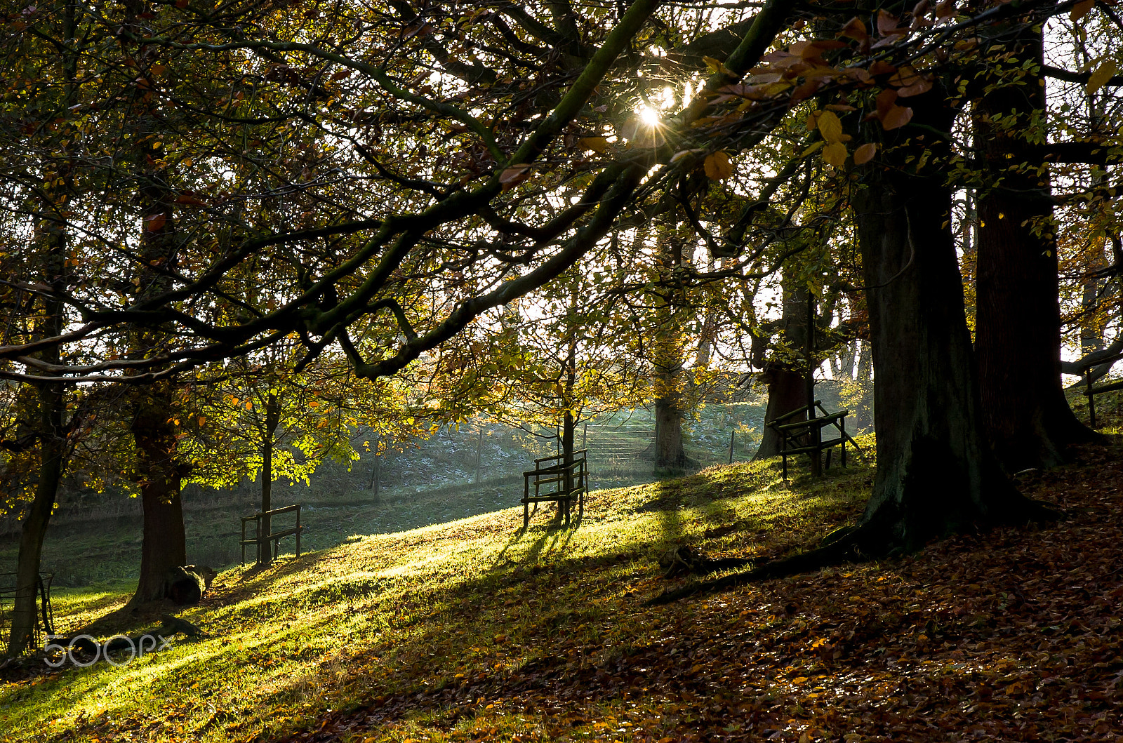 Nikon D2Hs + Nikon AF-S DX Nikkor 18-70mm F3.5-4.5G ED-IF sample photo. Autumn light photography