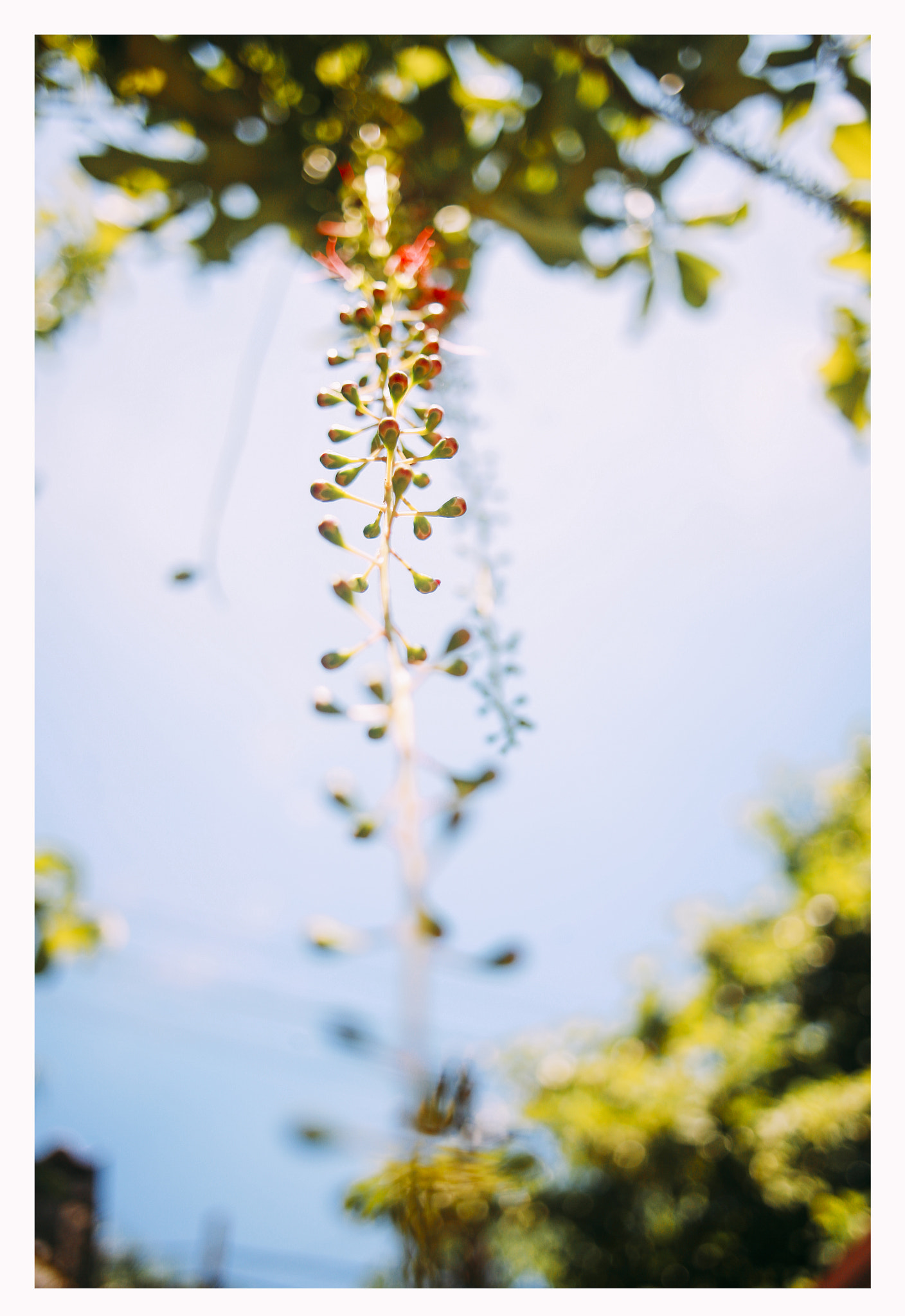 Canon EF 24mm F2.8 sample photo. S photography