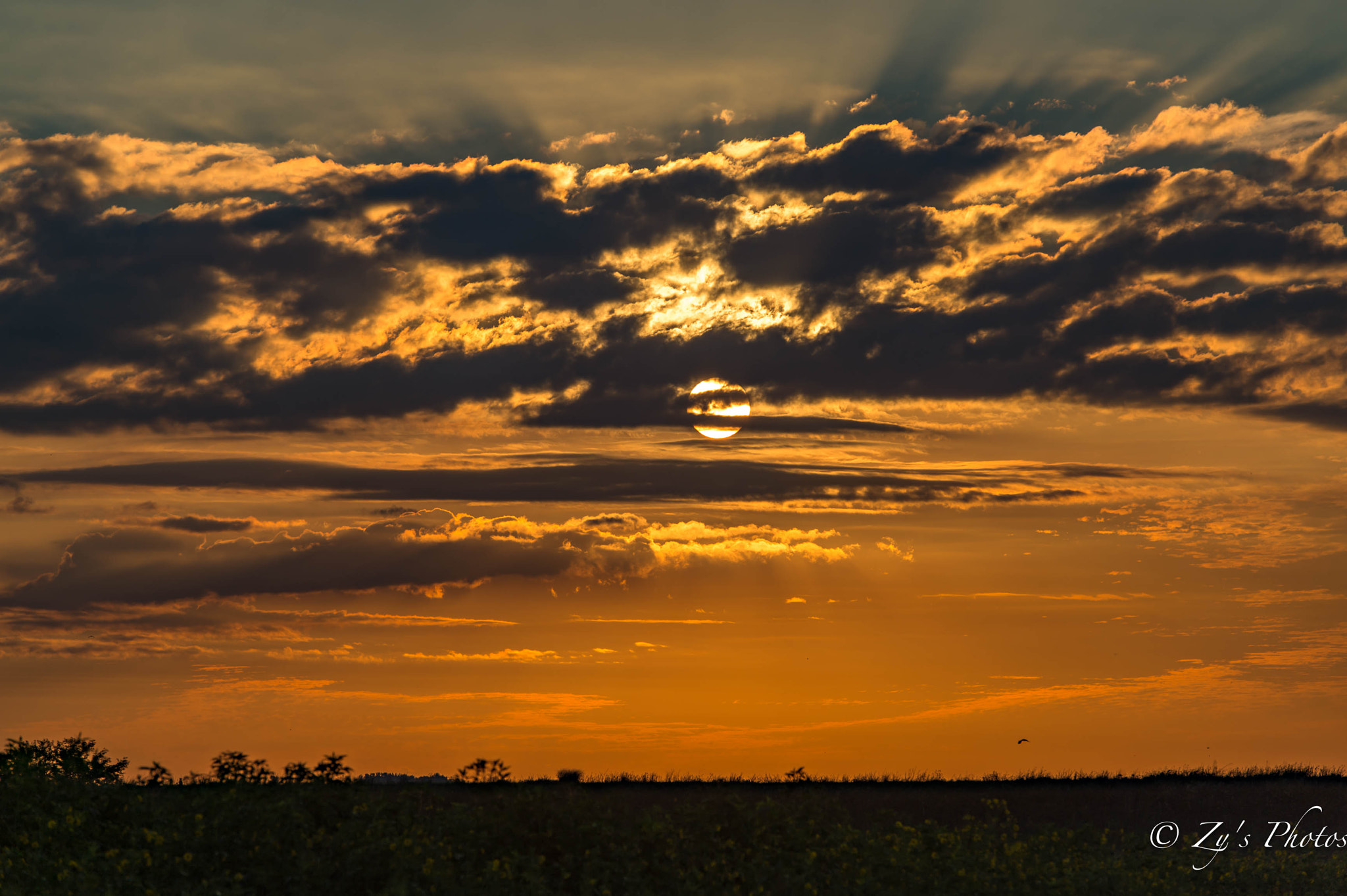 Nikon Df sample photo. Sunrise photography