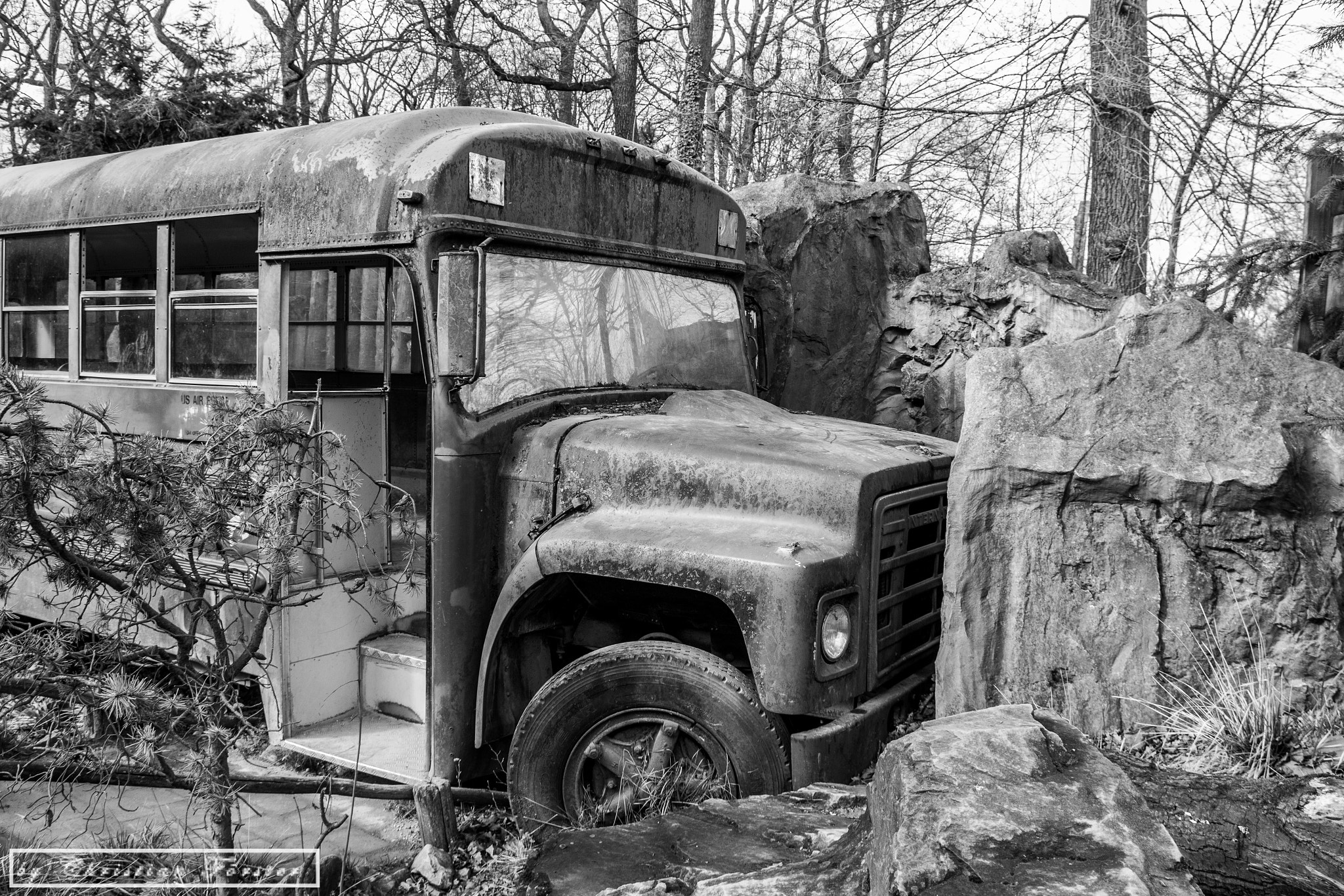 Canon EOS 750D (EOS Rebel T6i / EOS Kiss X8i) sample photo. Old bus photography