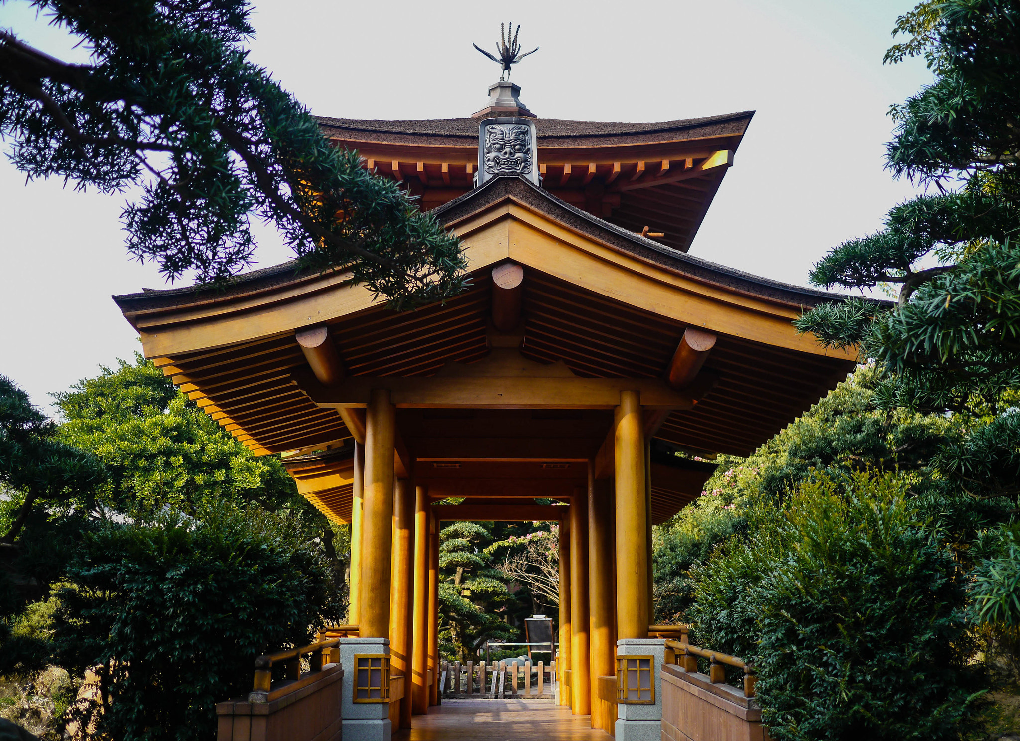 Panasonic Lumix DMC-GH2 + Panasonic Lumix G 20mm F1.7 ASPH sample photo. Golden hour at nan lian graden photography