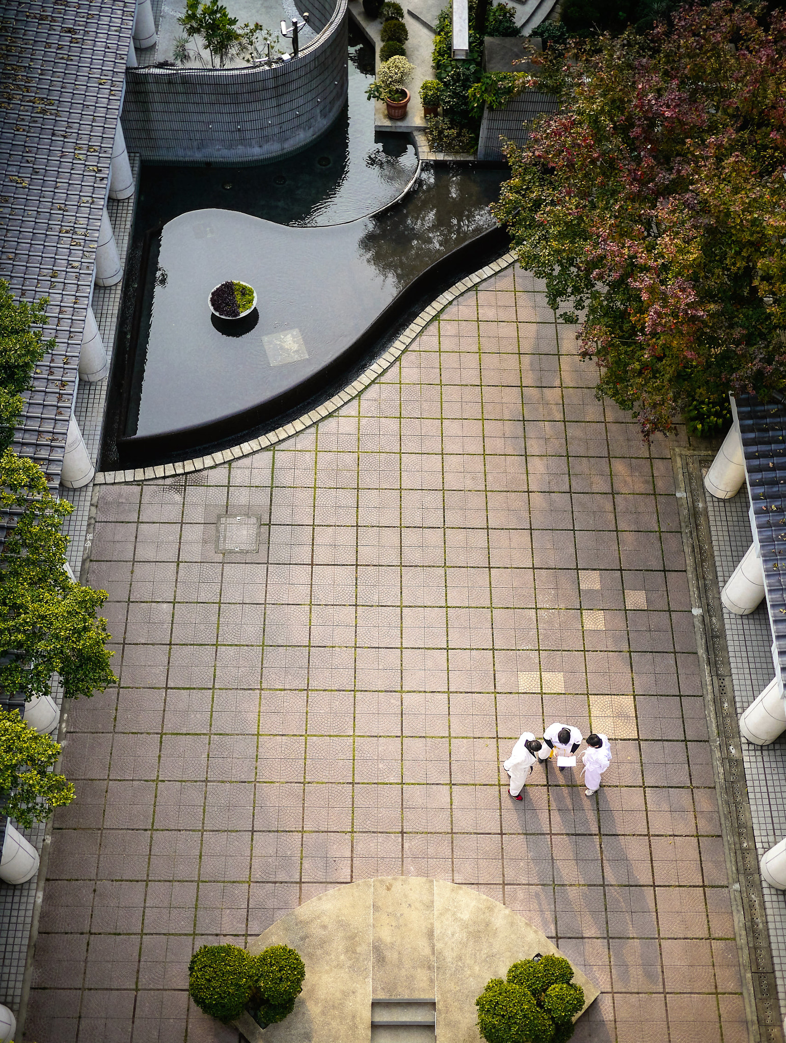 Panasonic Lumix DMC-GH2 + Panasonic Lumix G 20mm F1.7 ASPH sample photo. Morning tai chi photography