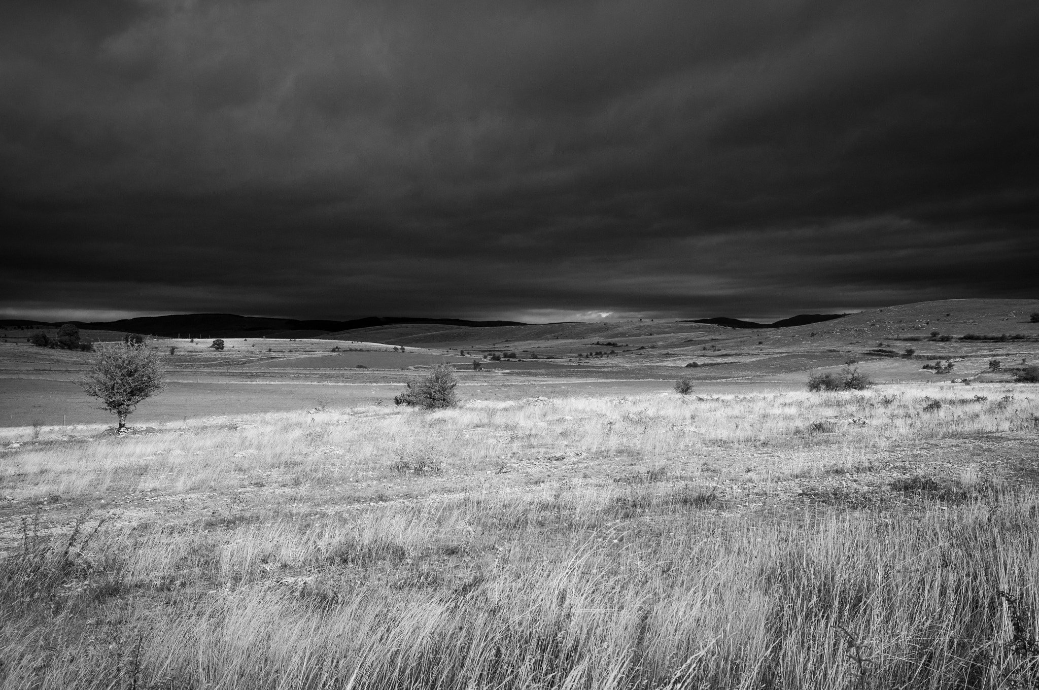 Nikon D5000 sample photo. Storm is coming photography
