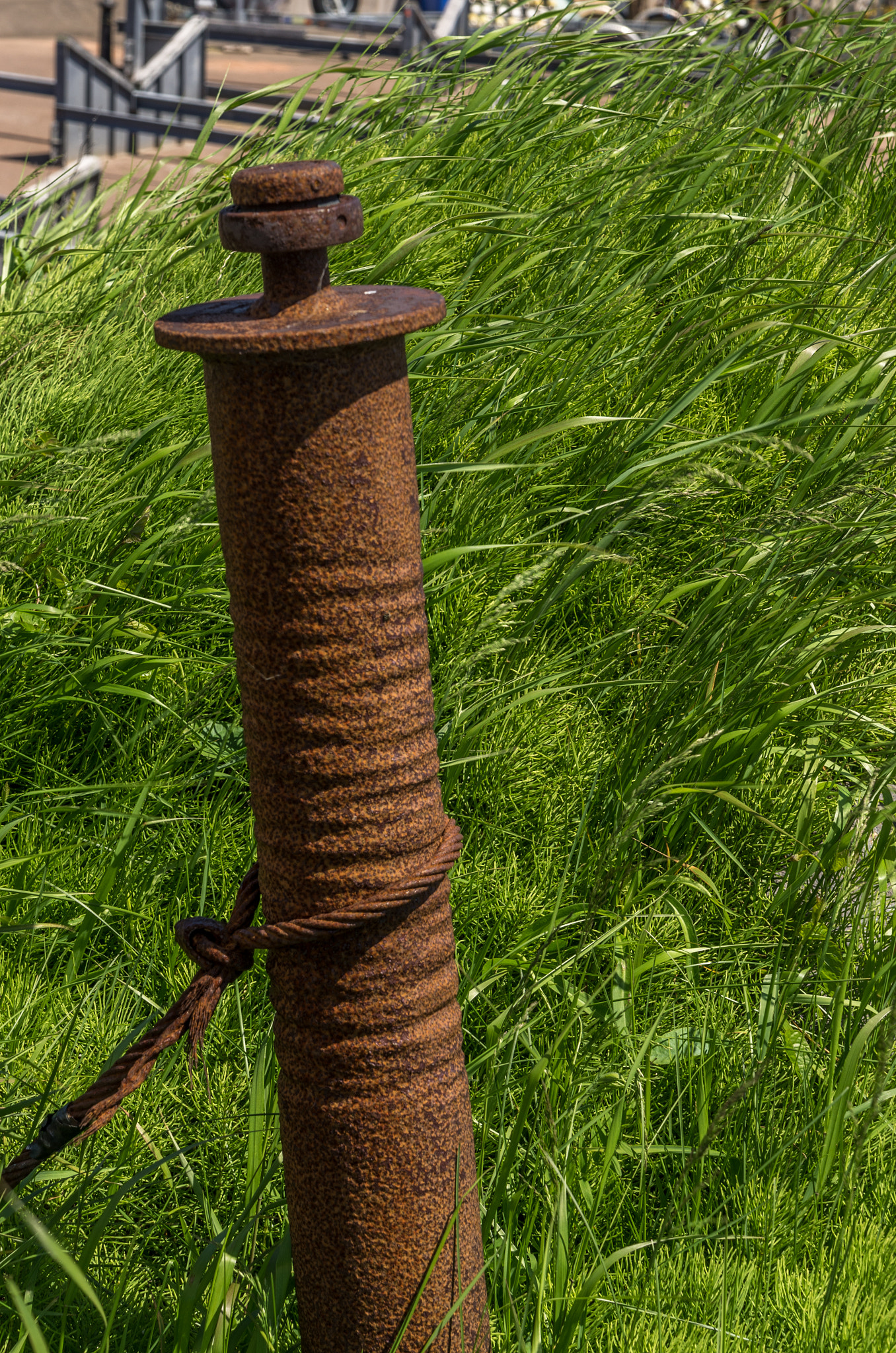 Tamron AF 28-75mm F2.8 XR Di LD Aspherical (IF) sample photo. Tige du temps photography