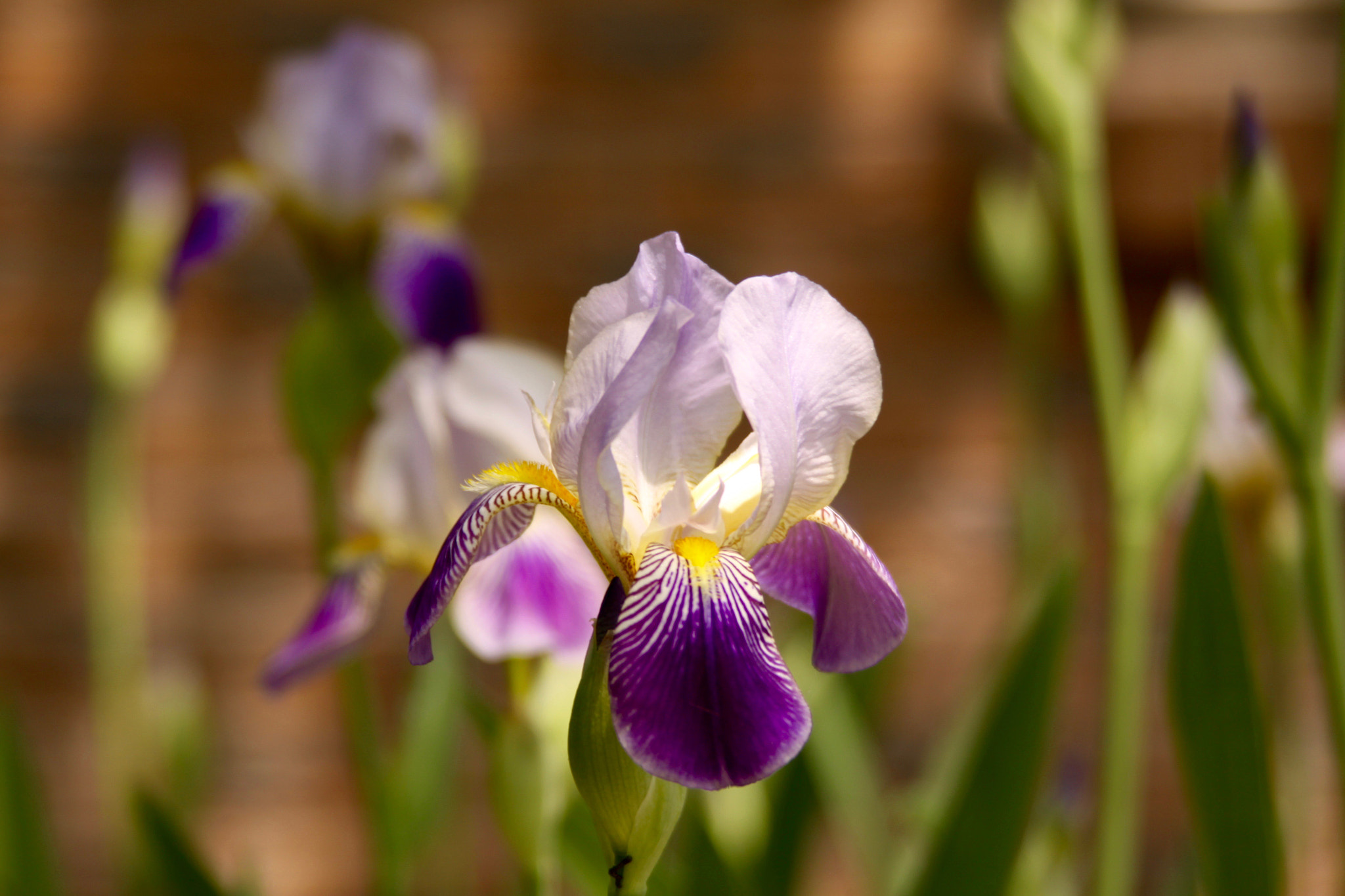 Canon EF 28-200mm F3.5-5.6 USM sample photo