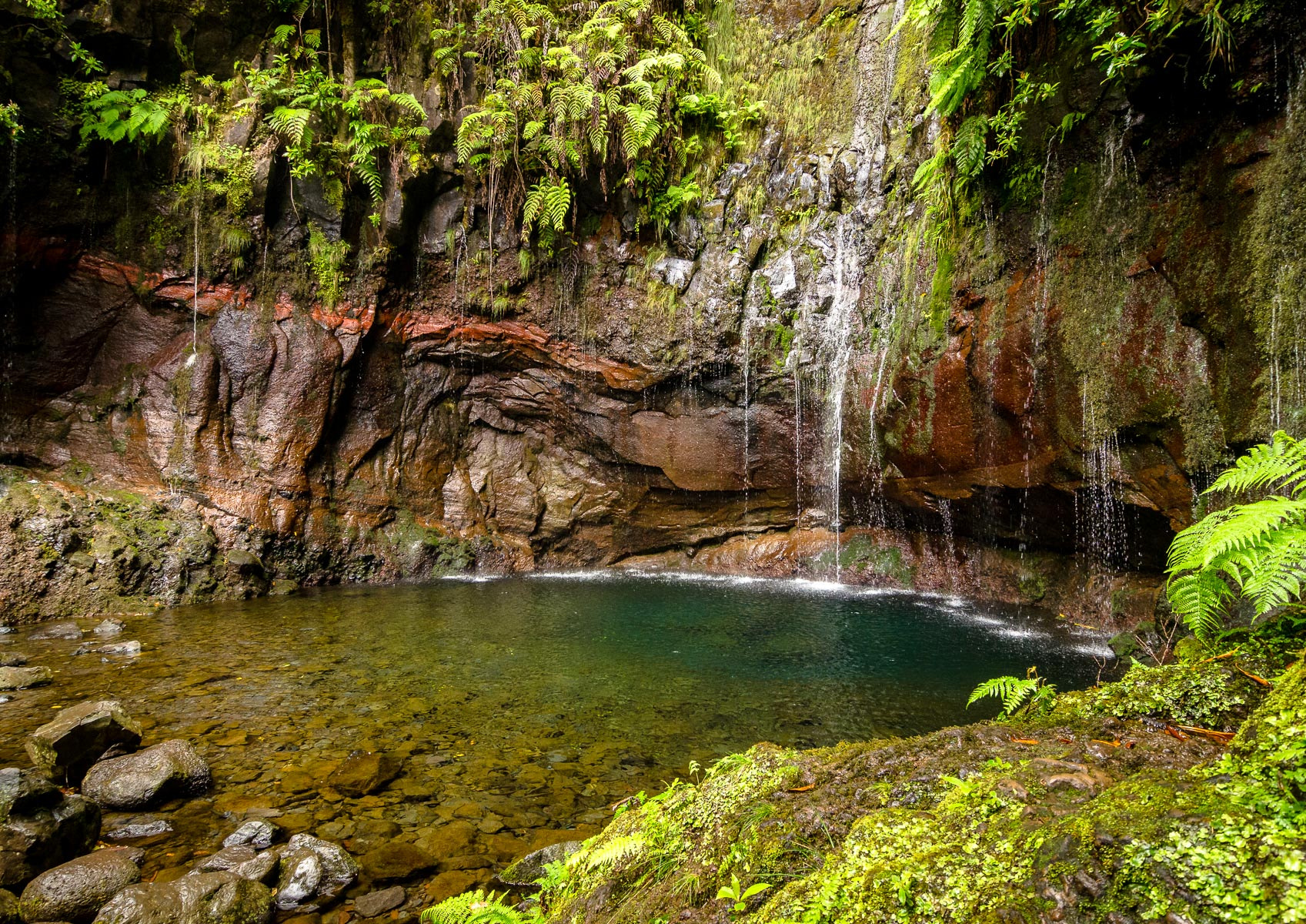 Tokina AT-X Pro 12-24mm F4 (IF) DX sample photo. 25 fontes photography