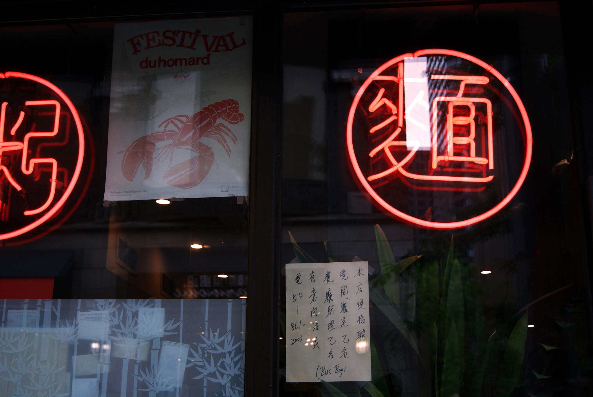 Sony DT 18-55mm F3.5-5.6 SAM sample photo. Quartier chinois de montréal photography