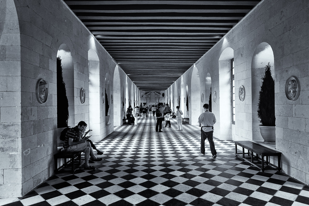 Sony Alpha DSLR-A700 sample photo. Chateau amboise photography