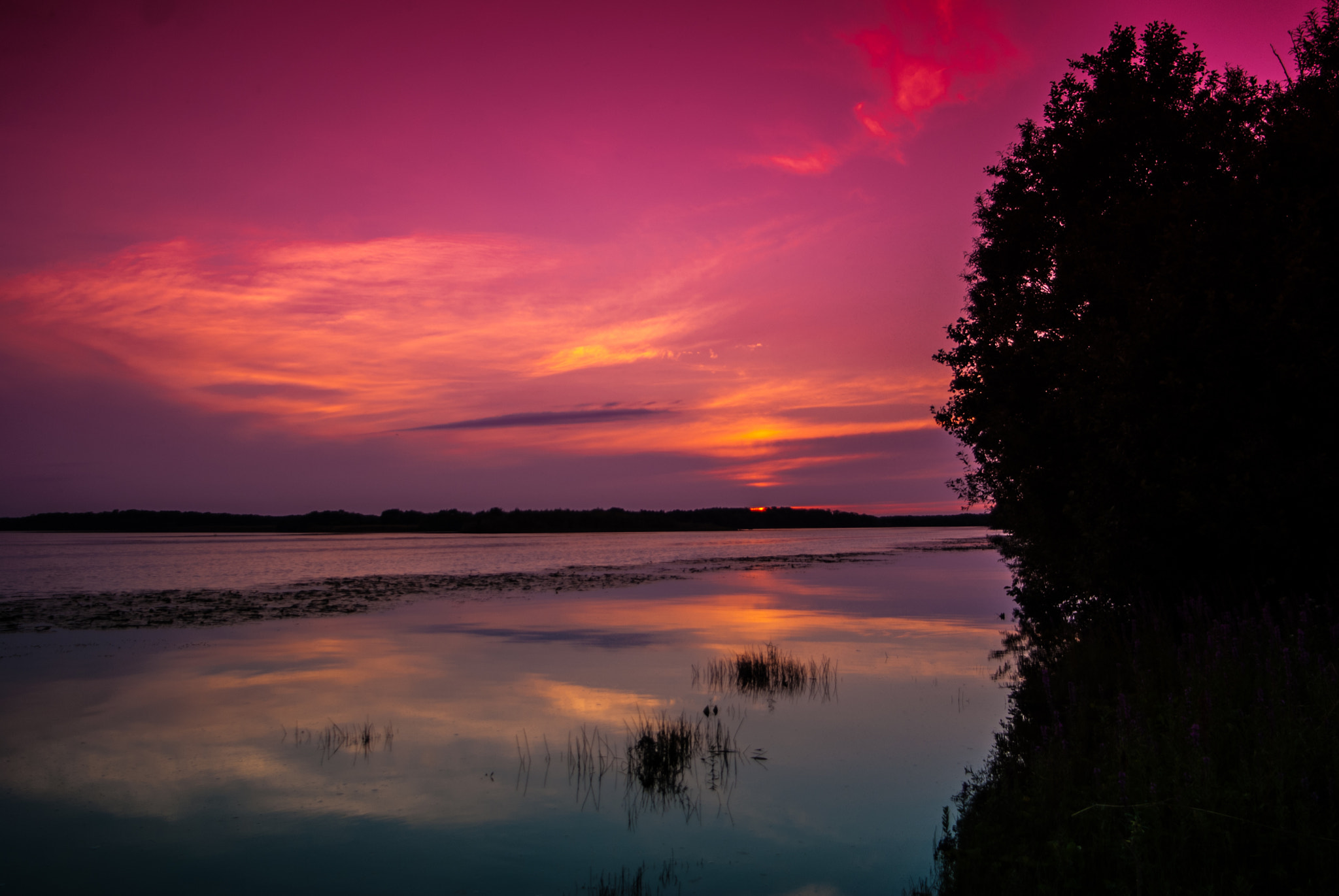 Nikon D80 + Tamron AF 19-35mm f/3.5-4.5 (A10) sample photo. **** photography