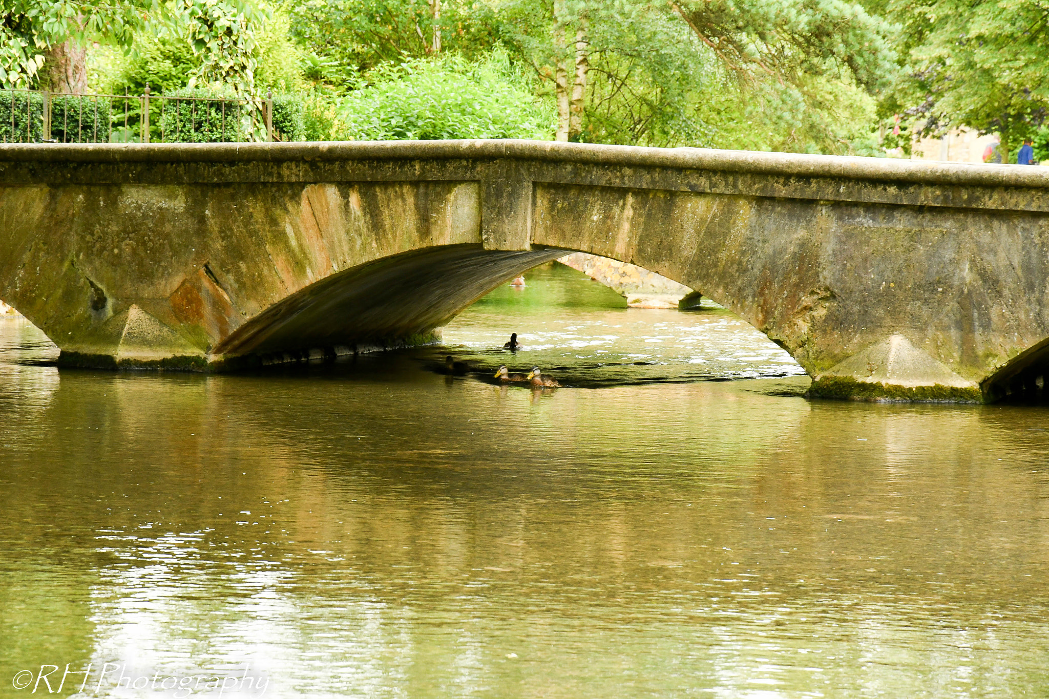 Nikon D500 sample photo. Under the bridge! photography