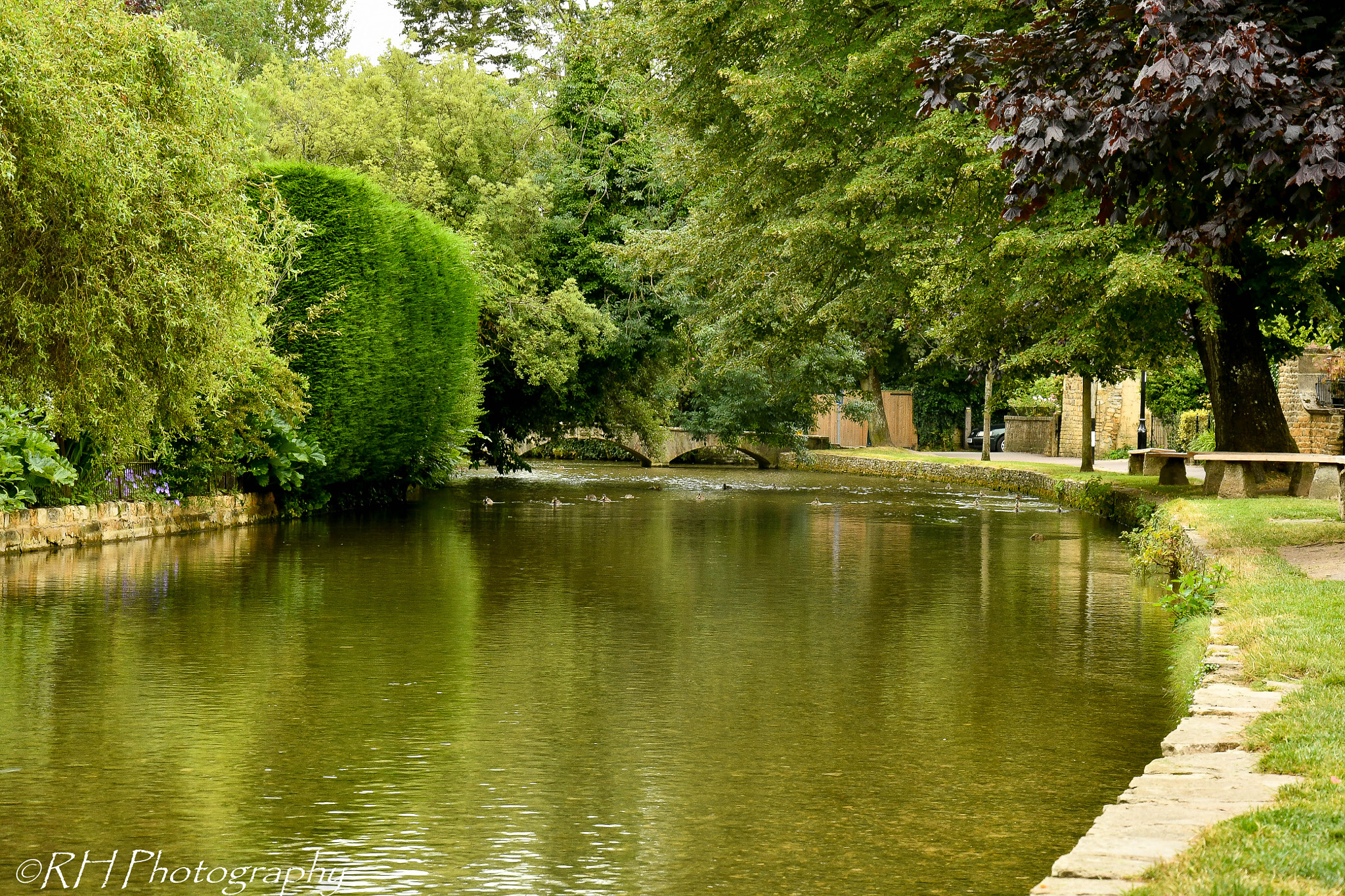 Nikon D500 sample photo. Down stream photography