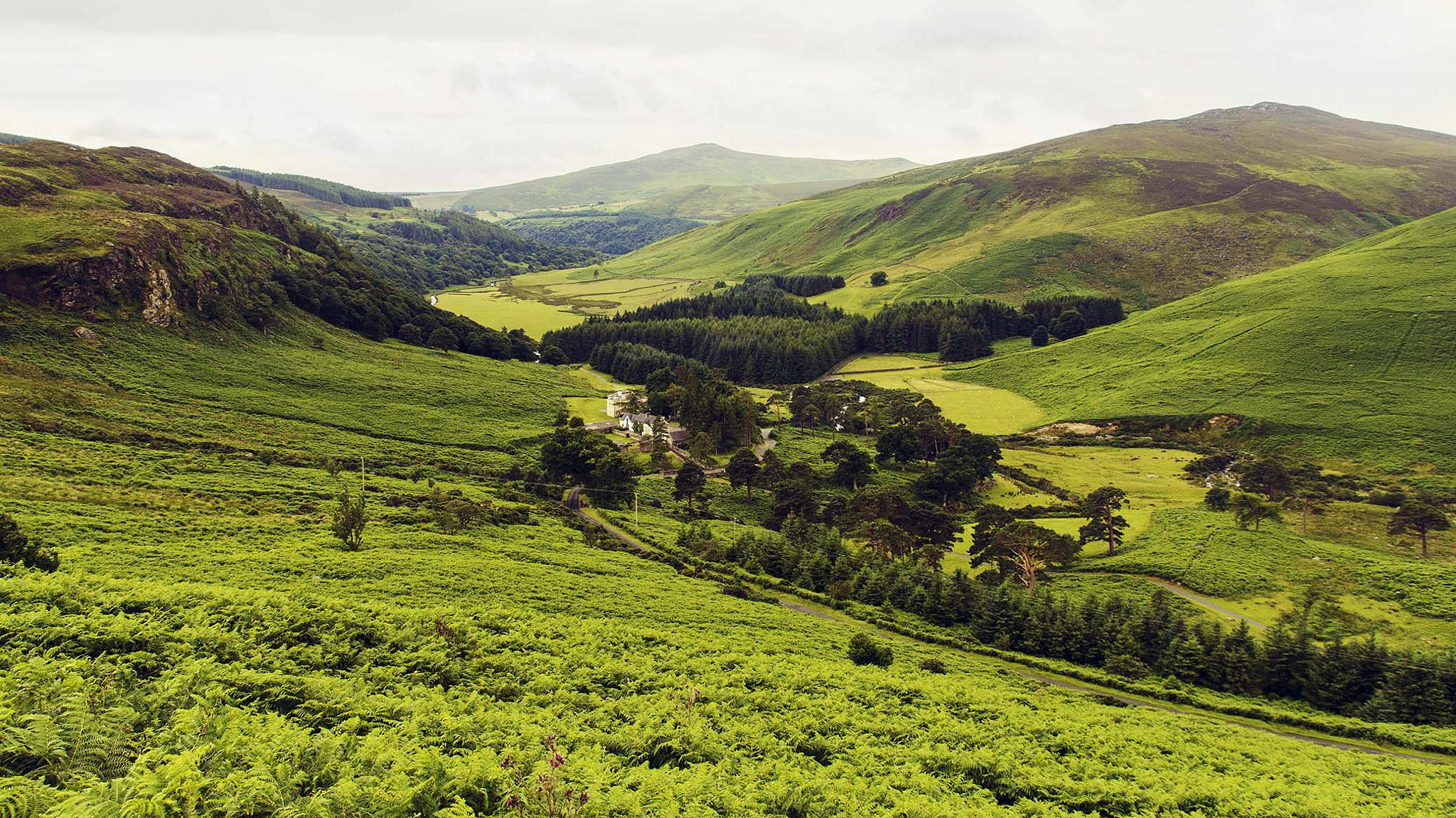 Sigma 18-200mm f/3.5-6.3 DC OS sample photo. Wicklow photography