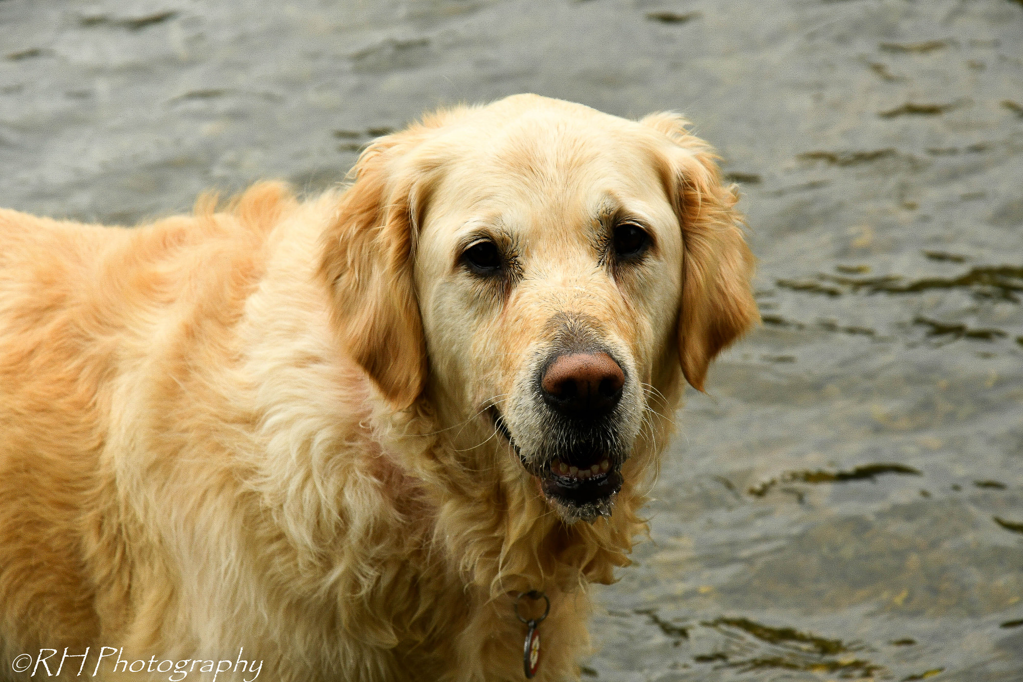 Nikon D500 sample photo. Smile! photography