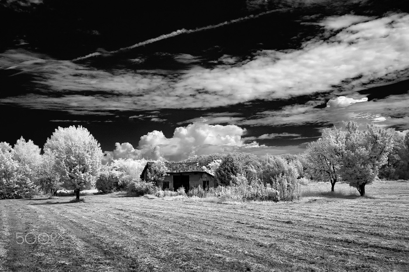 Nikon AF Nikkor 24-85mm F2.8-4D IF sample photo. Campagna milanese photography