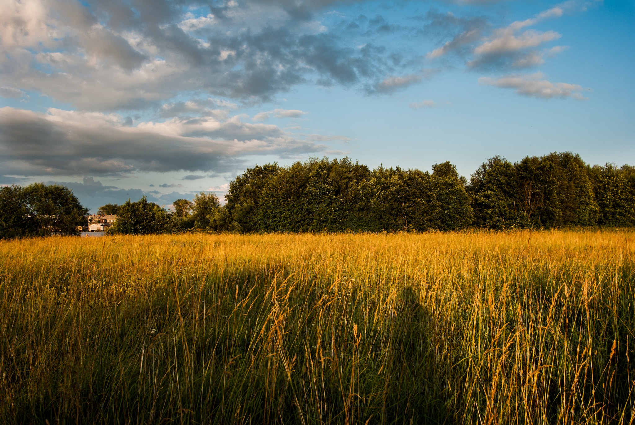 Tamron AF 19-35mm f/3.5-4.5 (A10) sample photo. **** photography