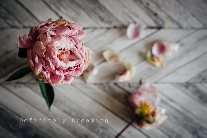 Sony a99 II sample photo. Dying peonies from above photography