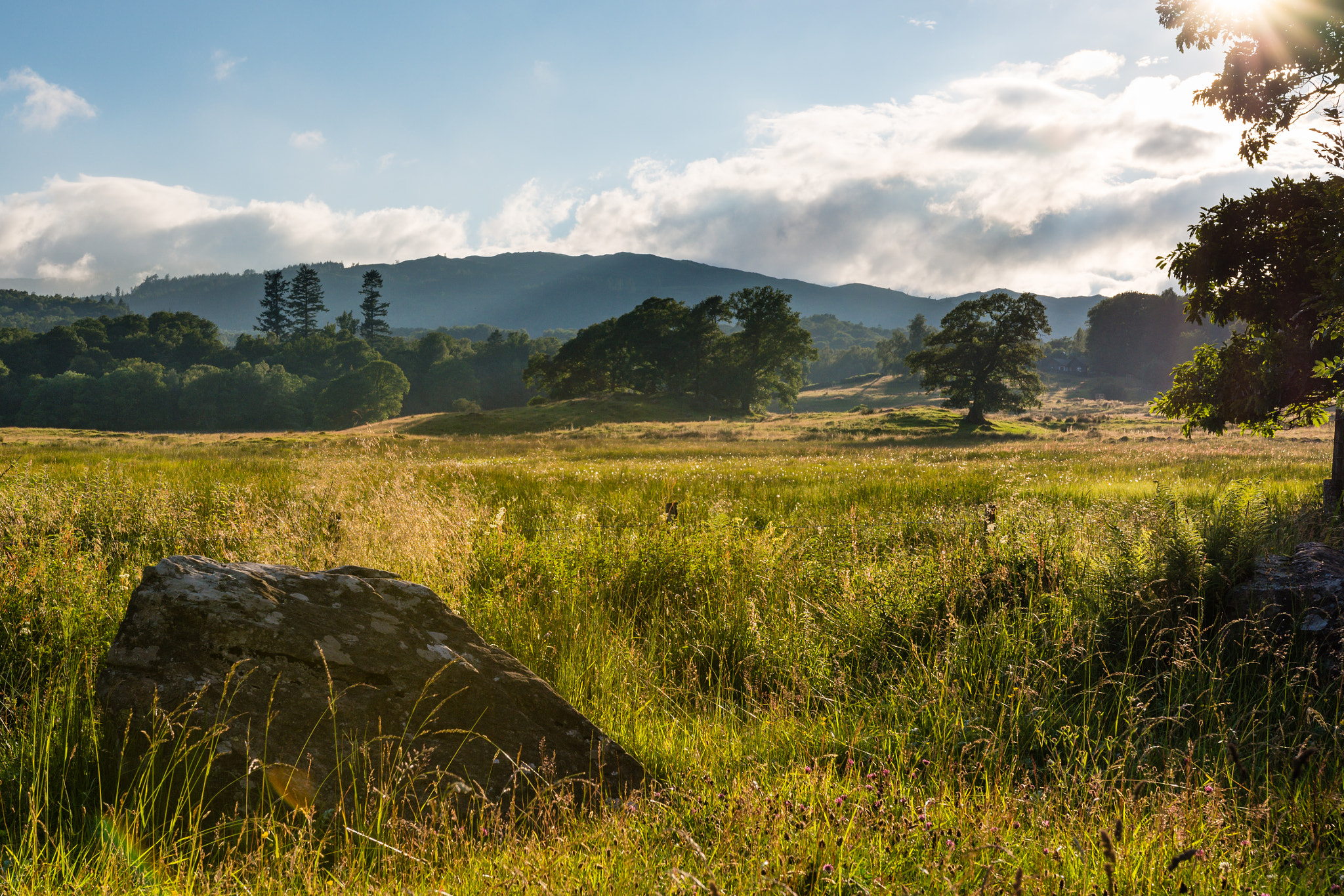 Pentax K-5 IIs sample photo. At the camping photography