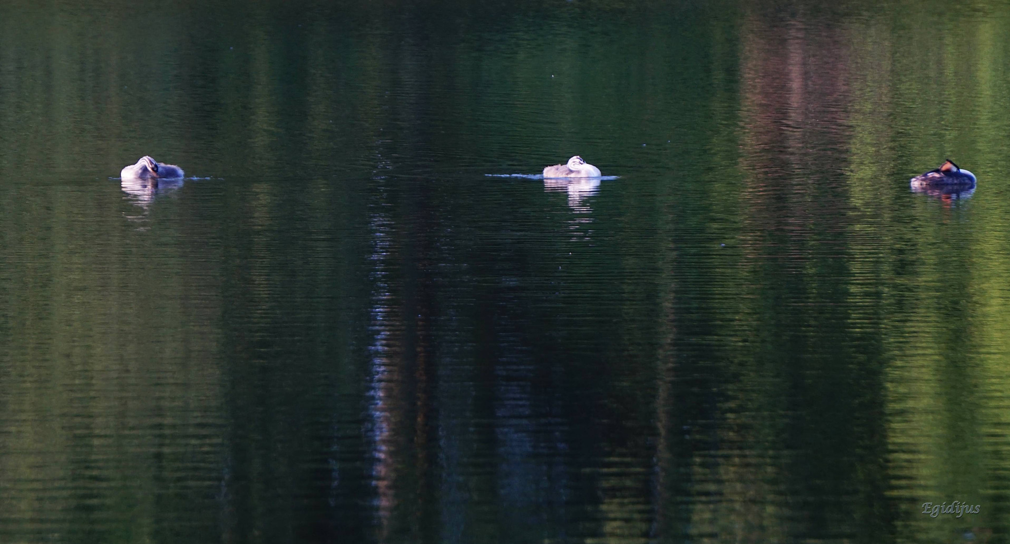 Sony E 55-210mm F4.5-6.3 OSS sample photo. M photography
