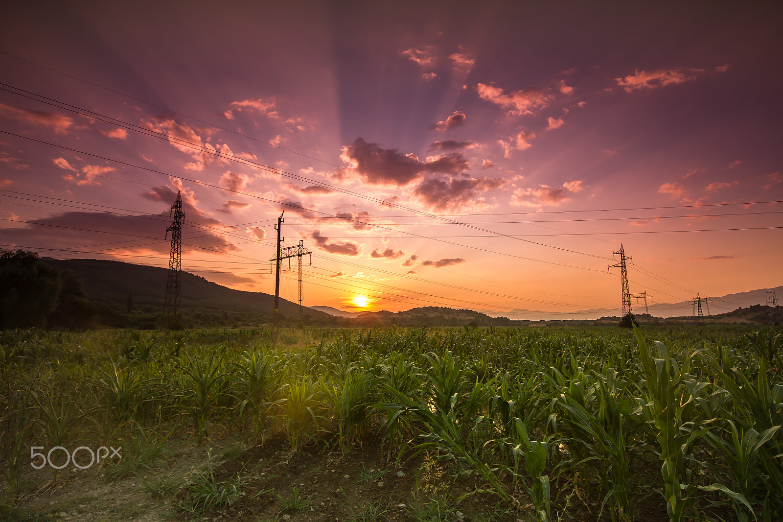 Sigma 10-20mm F4-5.6 EX DC HSM sample photo. Colorful sunrise at the field photography