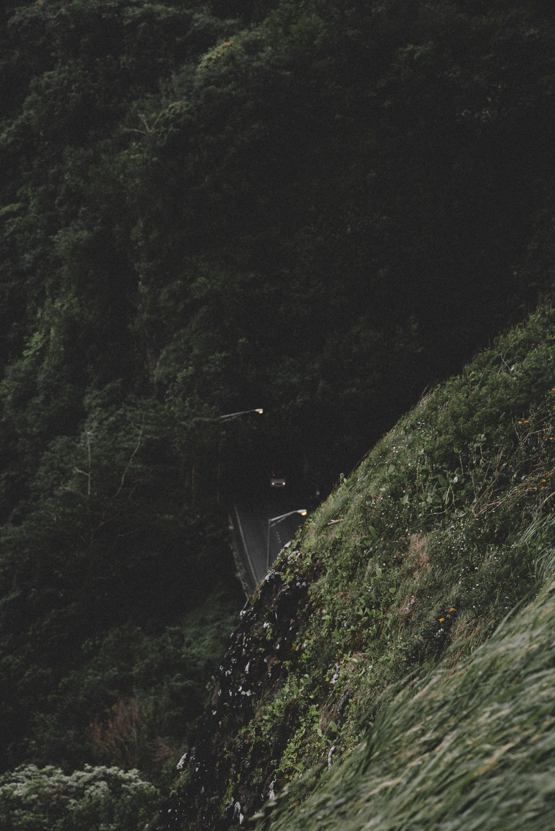 ZEISS Batis 85mm F1.8 sample photo. Tunnels photography