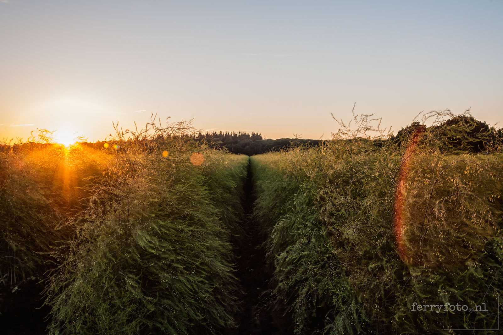 Canon EF 28-70mm f/3.5-4.5 sample photo. Landing photography